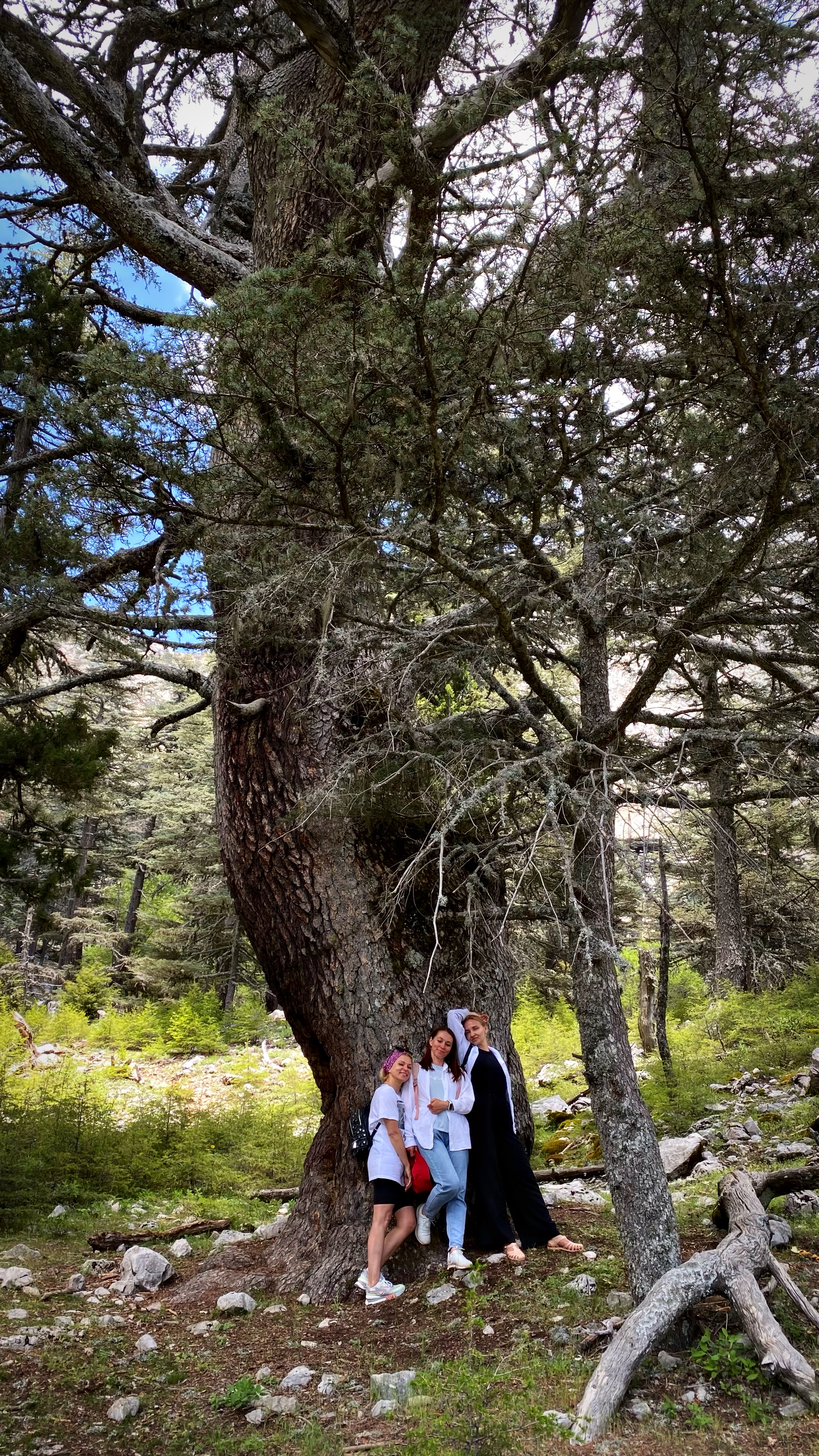 Йога-тур в Турцию. По следам Ликийской тропы, встреча с Лакшми. (42/122)