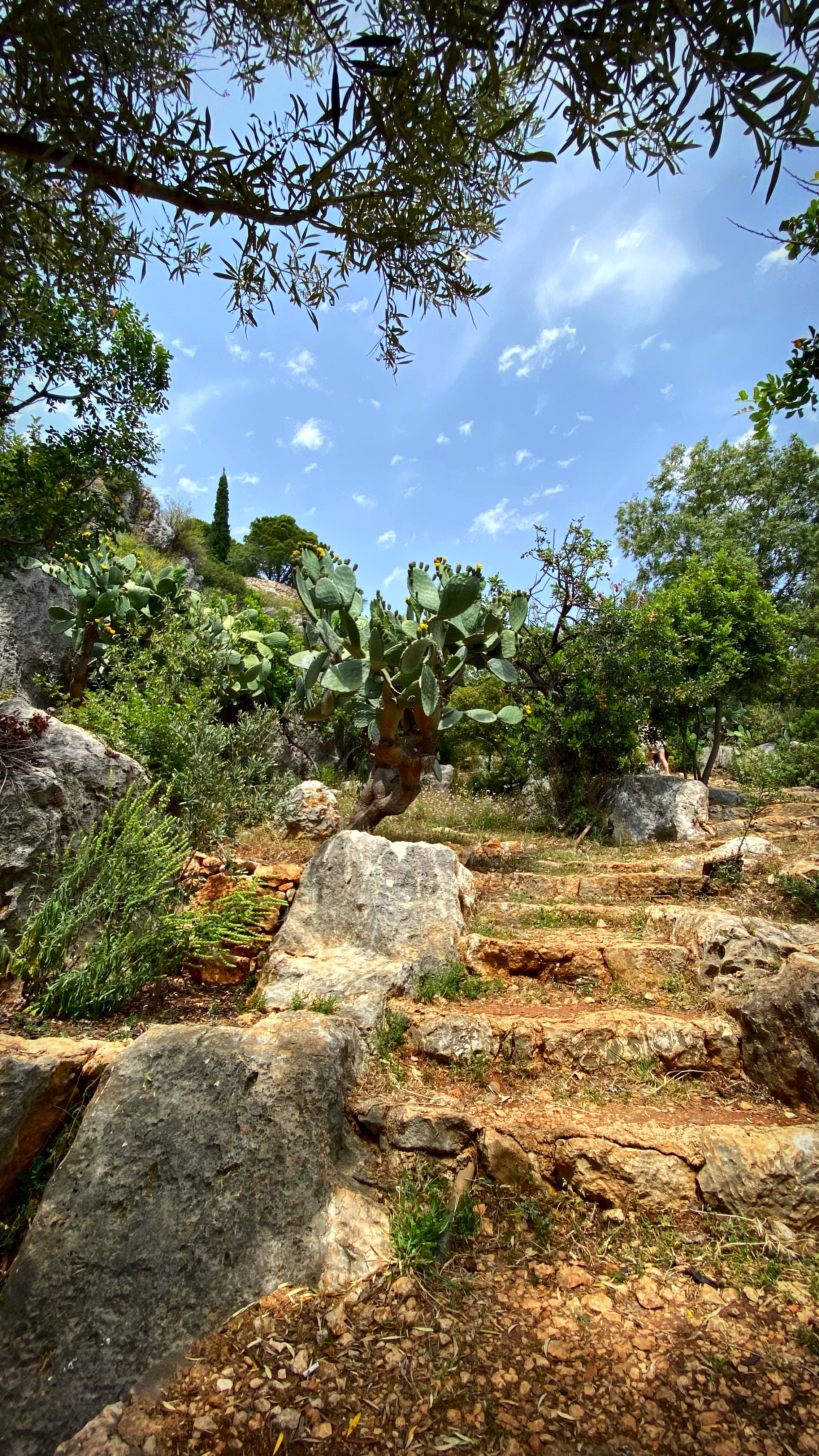 Йога-тур в Турцию. По следам Ликийской тропы, встреча с Лакшми. (80/122)