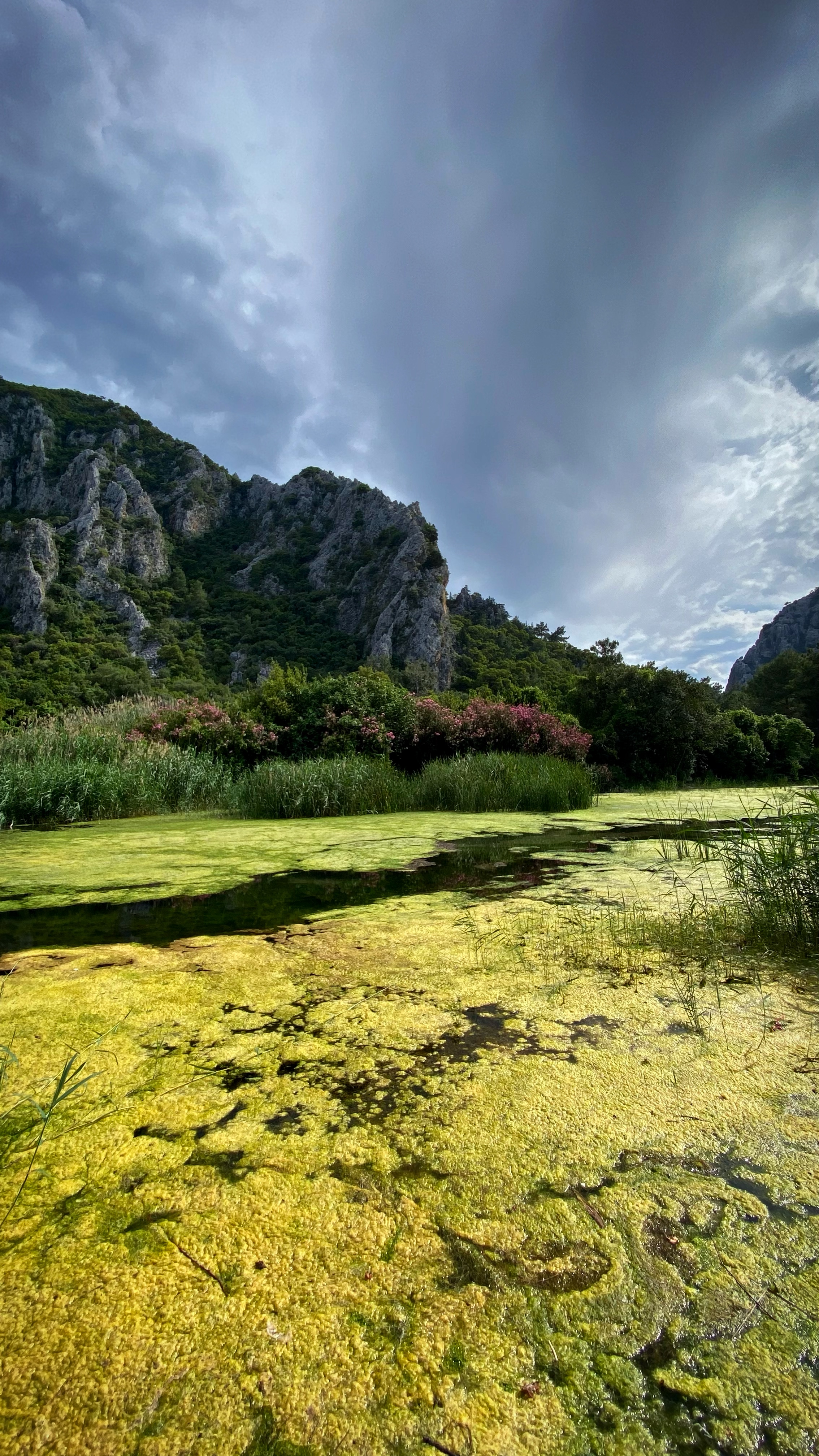 Йога-тур в Турцию. По следам Ликийской тропы, встреча с Лакшми. (43/122)