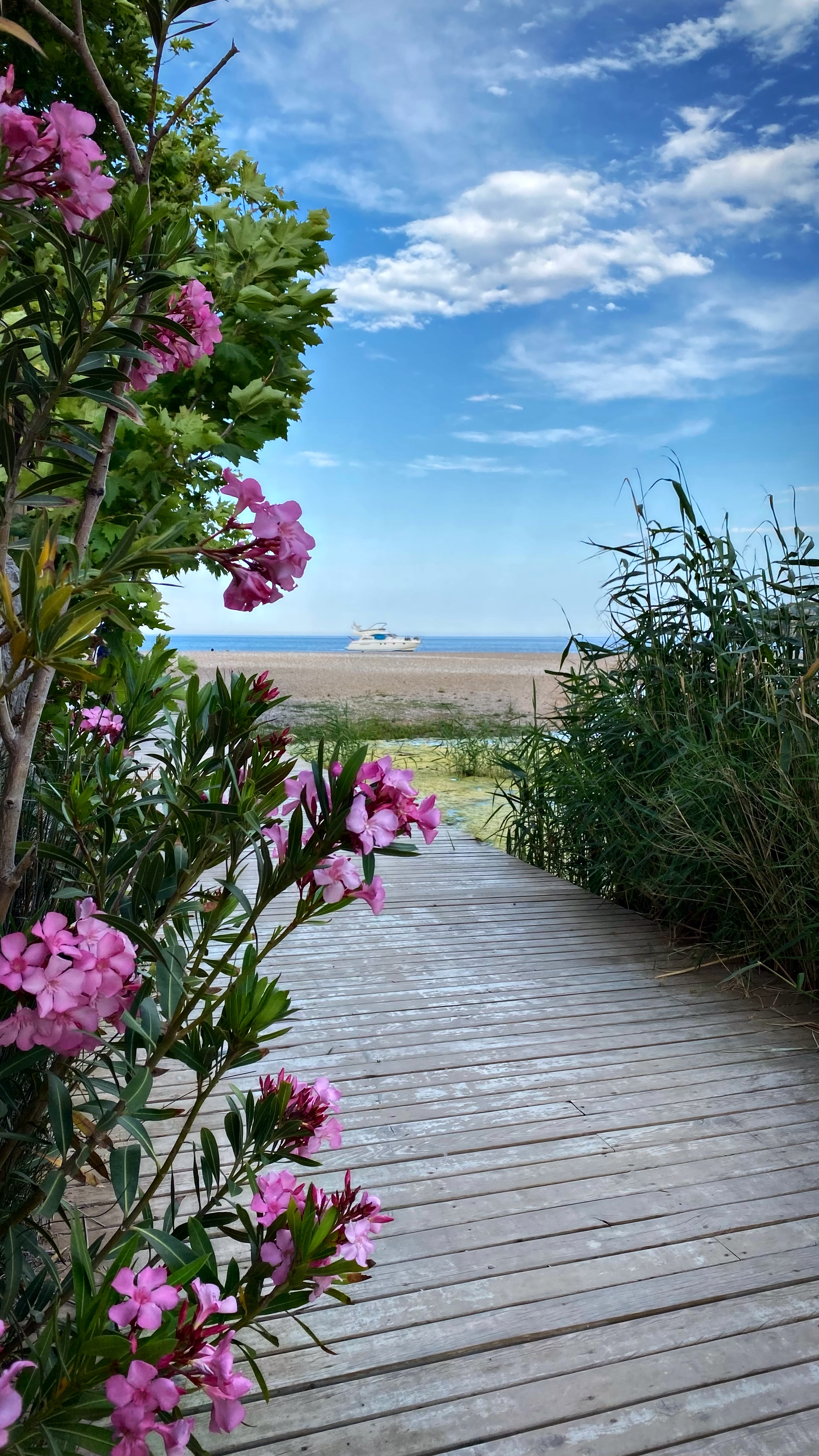 Йога-тур в Турцию. По следам Ликийской тропы, встреча с Лакшми. (89/122)