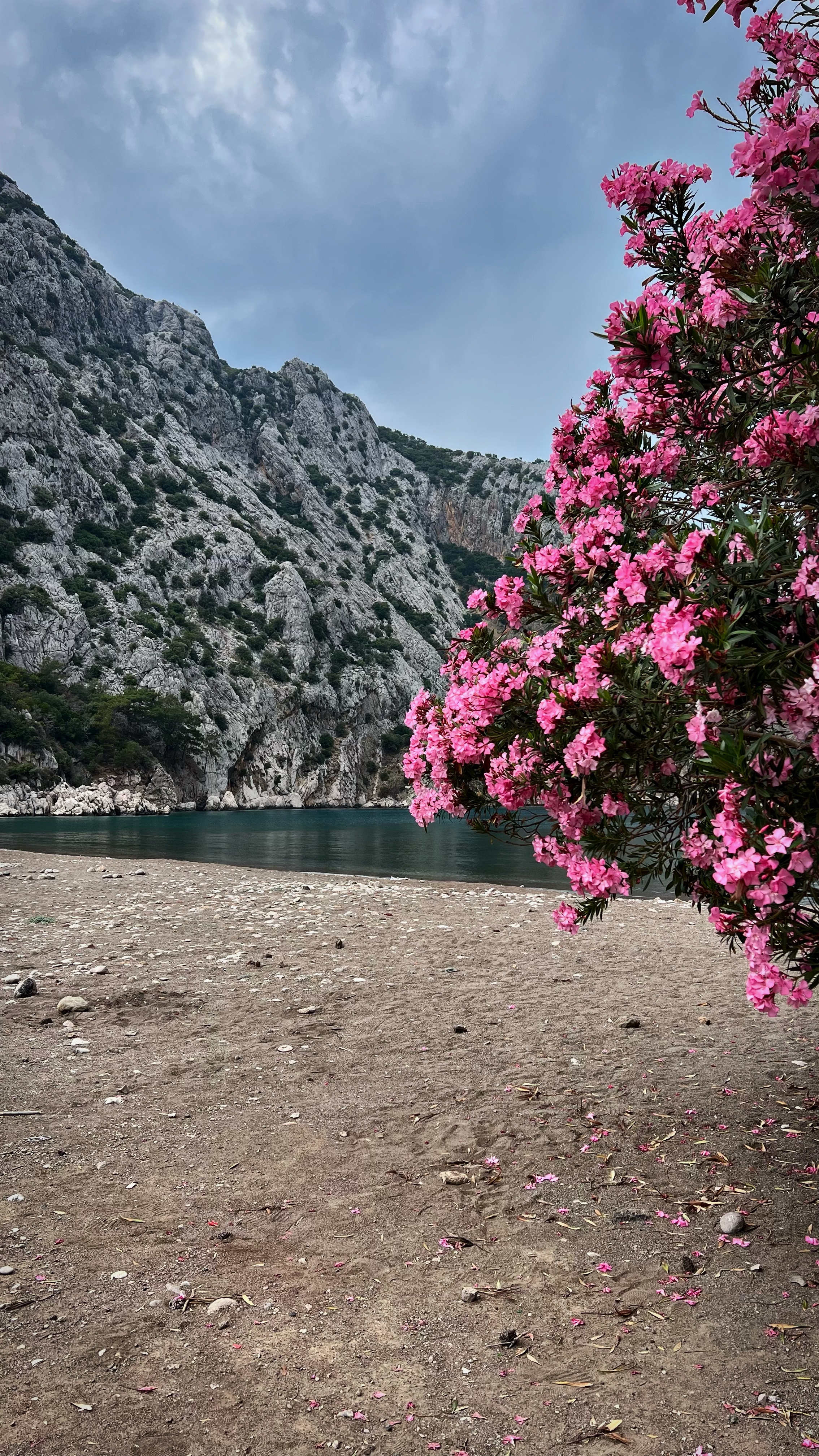 Йога-тур в Турцию. По следам Ликийской тропы, встреча с Лакшми. (16/122)
