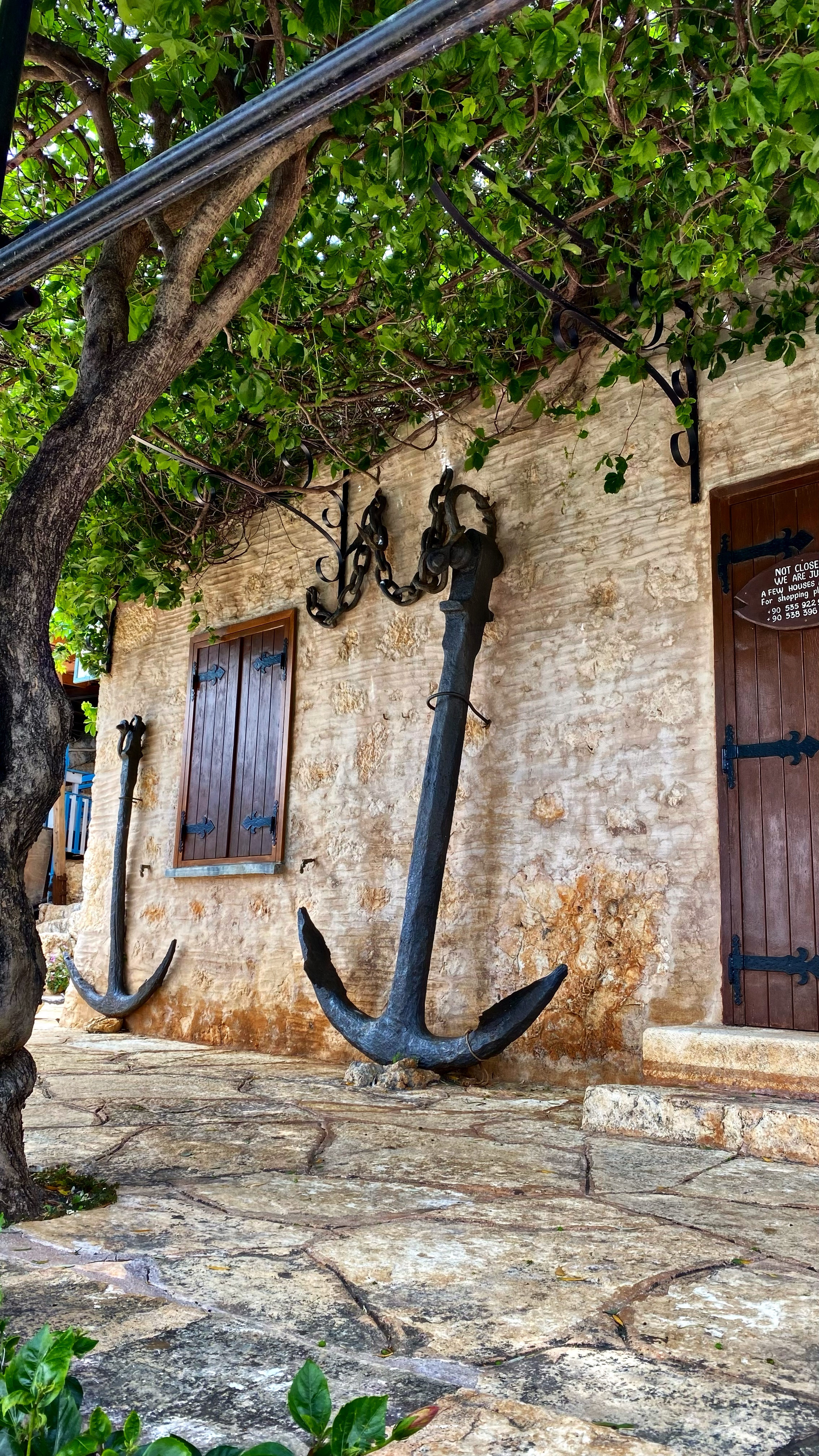 Йога-тур в Турцию. По следам Ликийской тропы, встреча с Лакшми. (52/122)