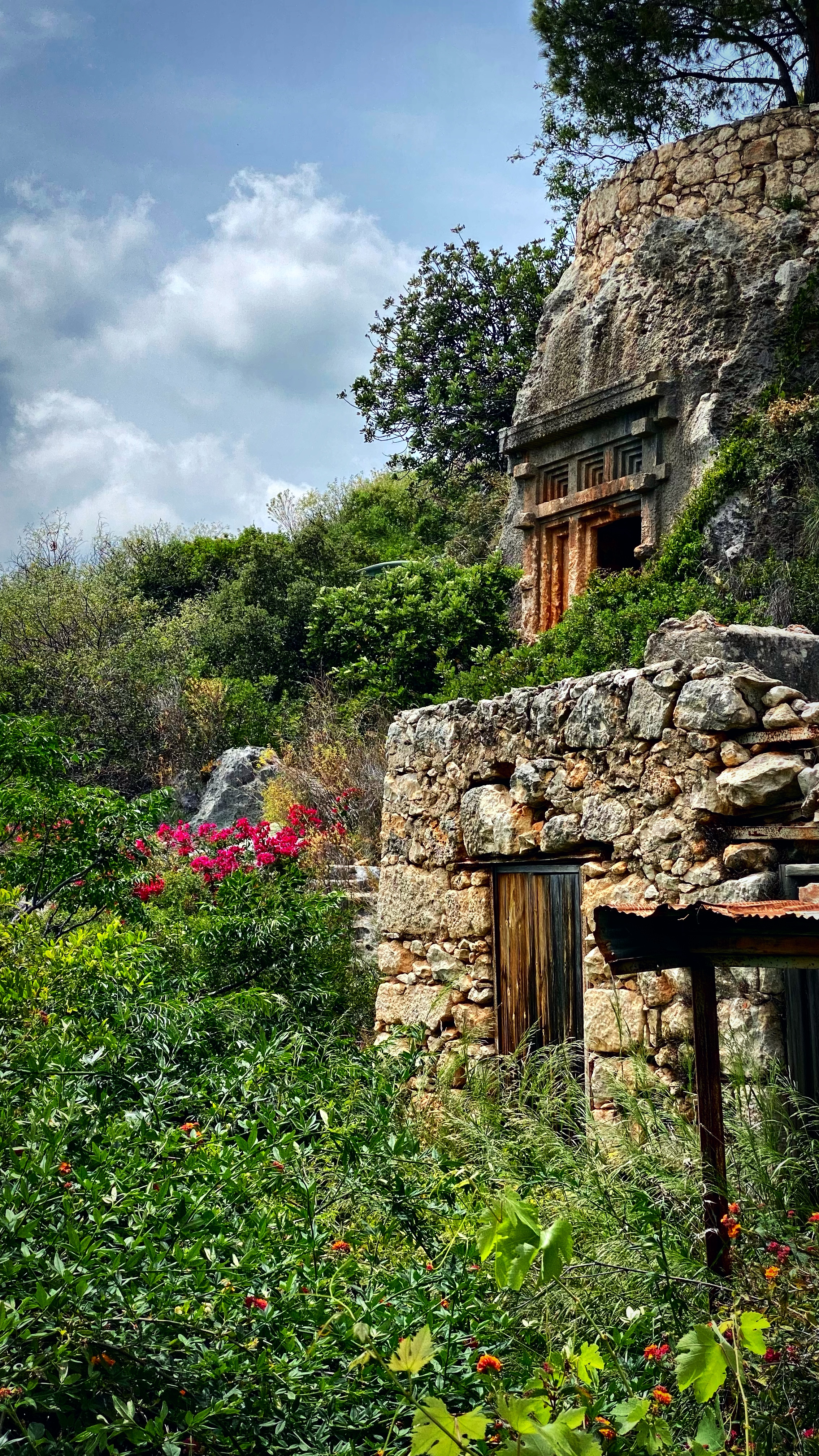 Йога-тур в Турцию. По следам Ликийской тропы, встреча с Лакшми. (28/122)