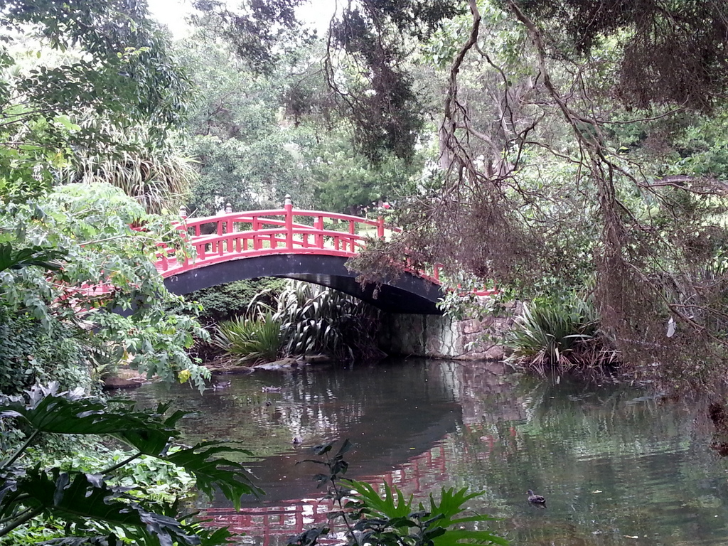 Частный тур Захватывающее путешествие вдоль южного побережья Сиднея (8/19)