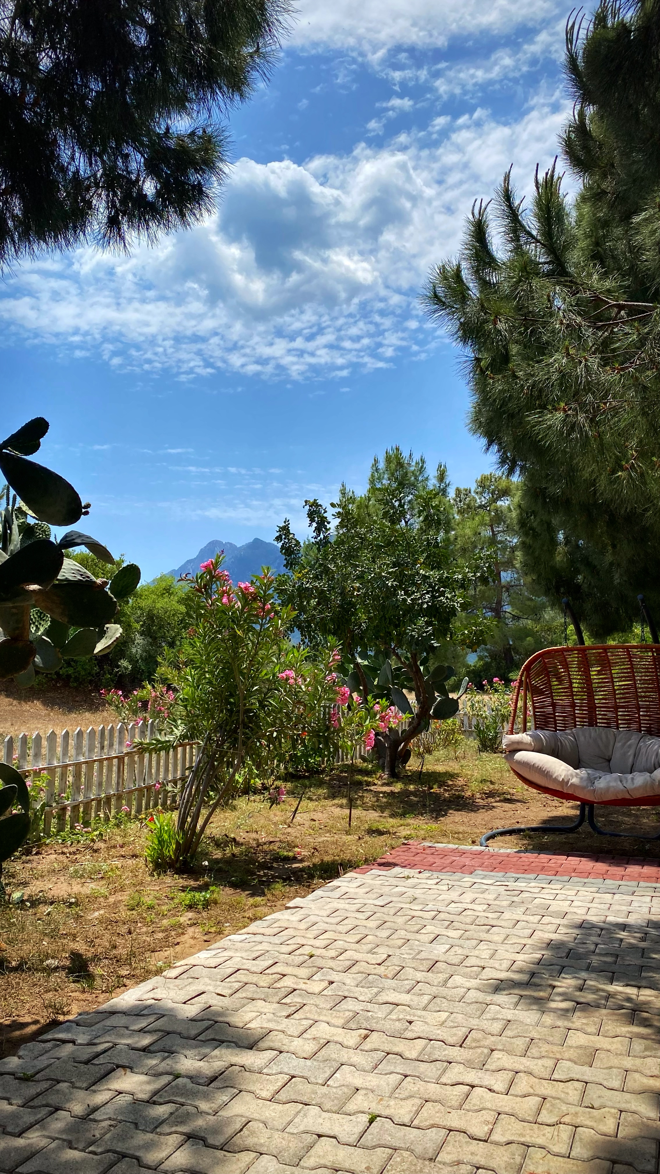 Йога-тур в Турцию. По следам Ликийской тропы, встреча с Лакшми. (66/122)