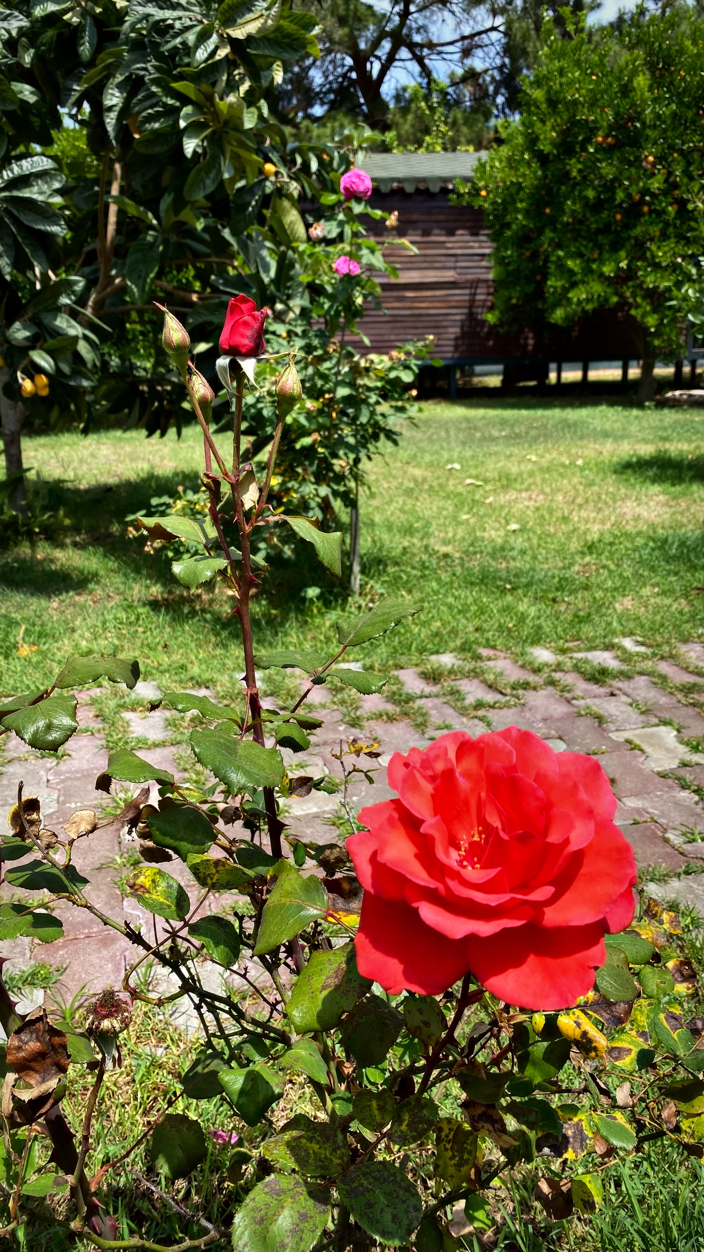 Йога-тур в Турцию. По следам Ликийской тропы, встреча с Лакшми. (99/122)