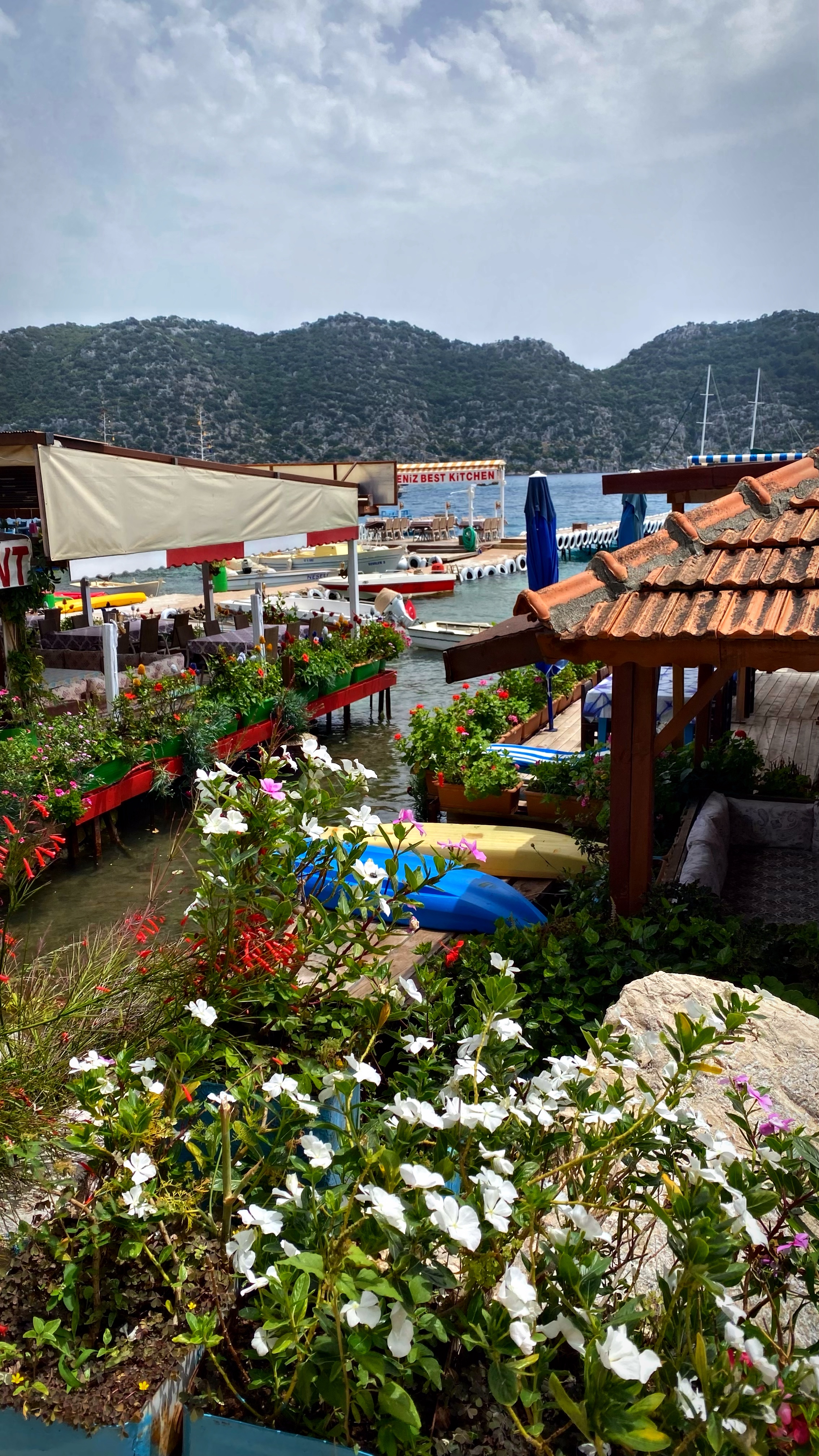 Йога-тур в Турцию. По следам Ликийской тропы, встреча с Лакшми. (78/122)