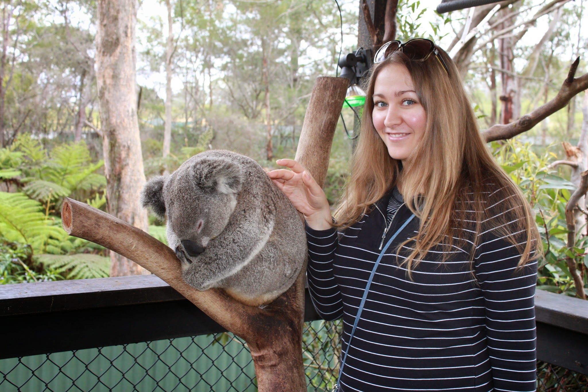Частный люкс-тур с дегустацией вин в Hunter Valley (2/14)
