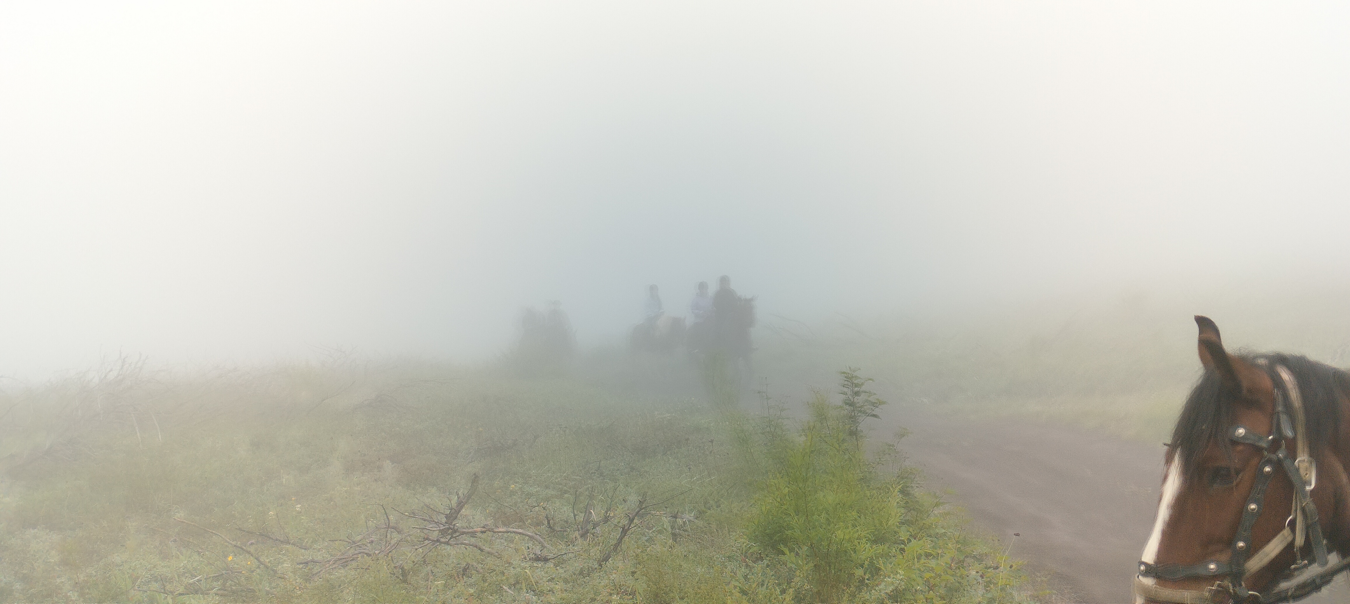 Конный тур к реке Дремучая: Следы последнего извержения Корякского вулкана (16/17)