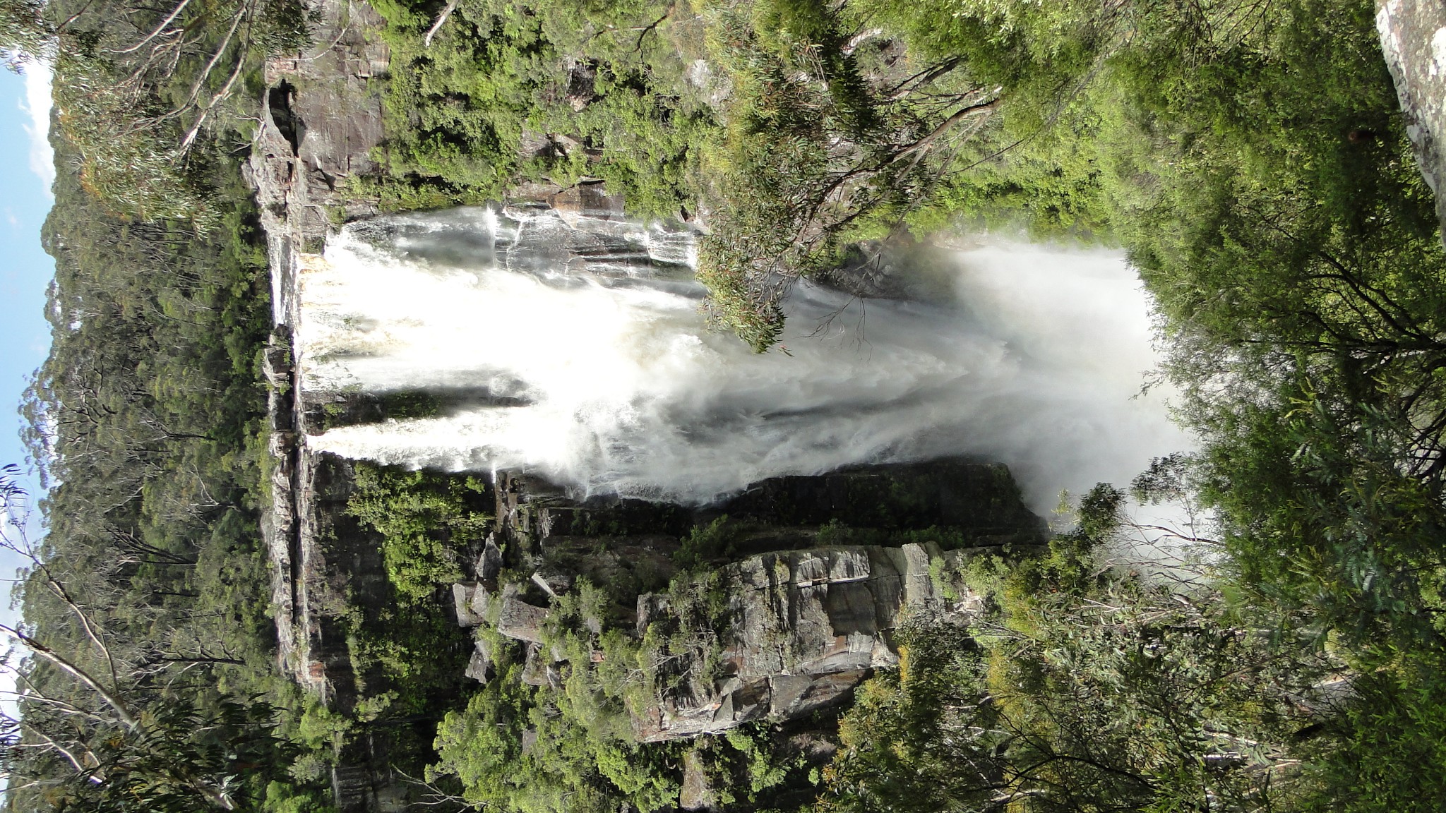 Частный тур Захватывающее путешествие вдоль южного побережья Сиднея (10/19)