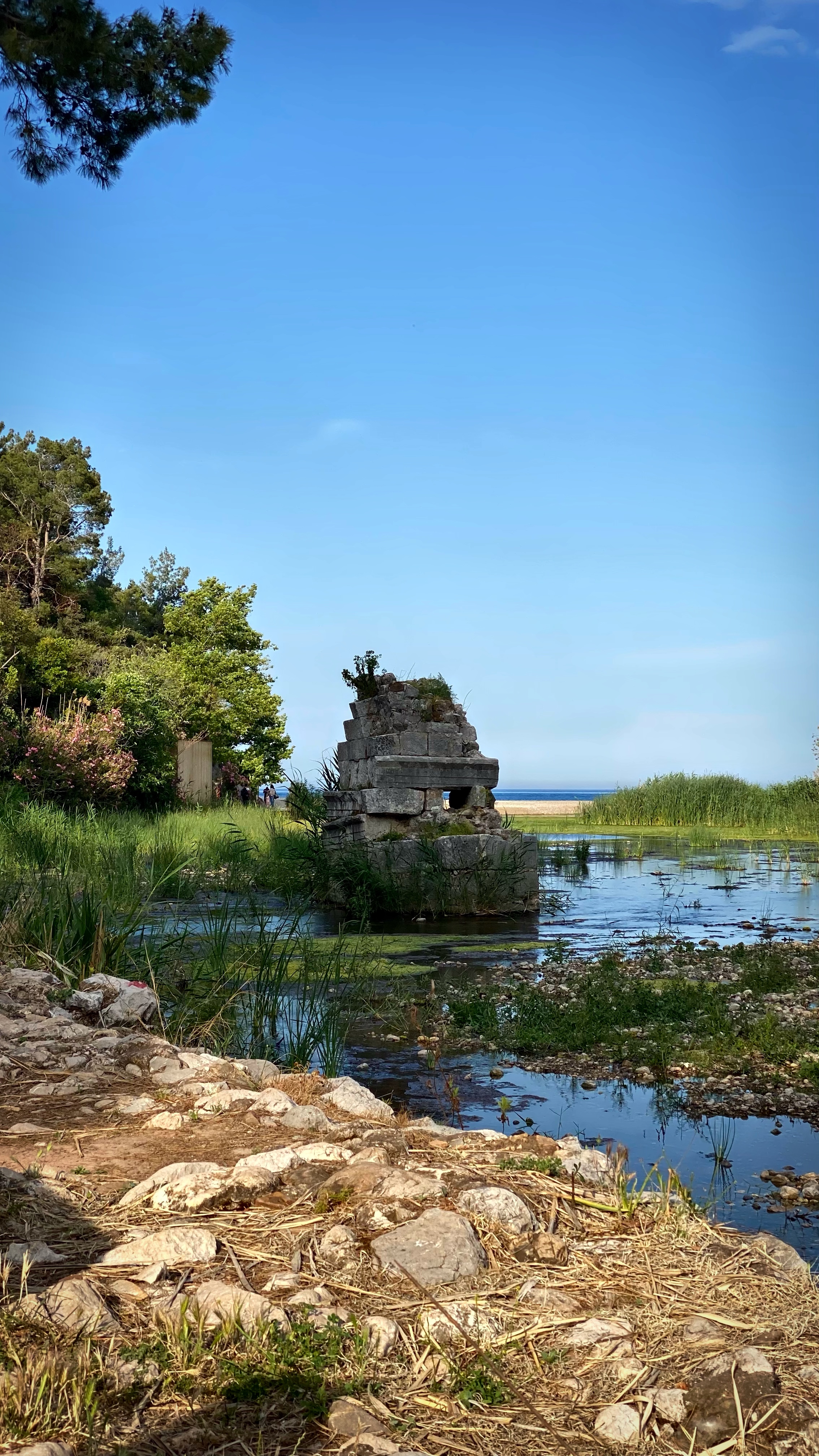 Йога-тур в Турцию. По следам Ликийской тропы, встреча с Лакшми. (91/122)