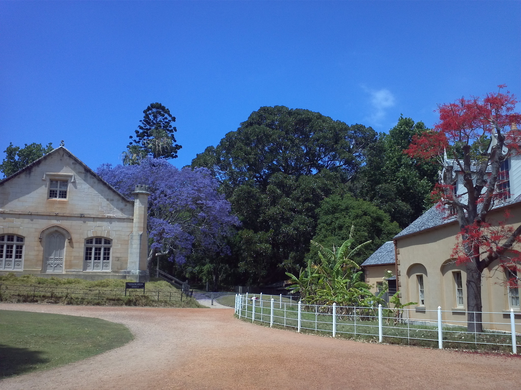 Индивидуальный дневной тур 8 часов по Сиднею (город и восточные пригороды) (14/17)
