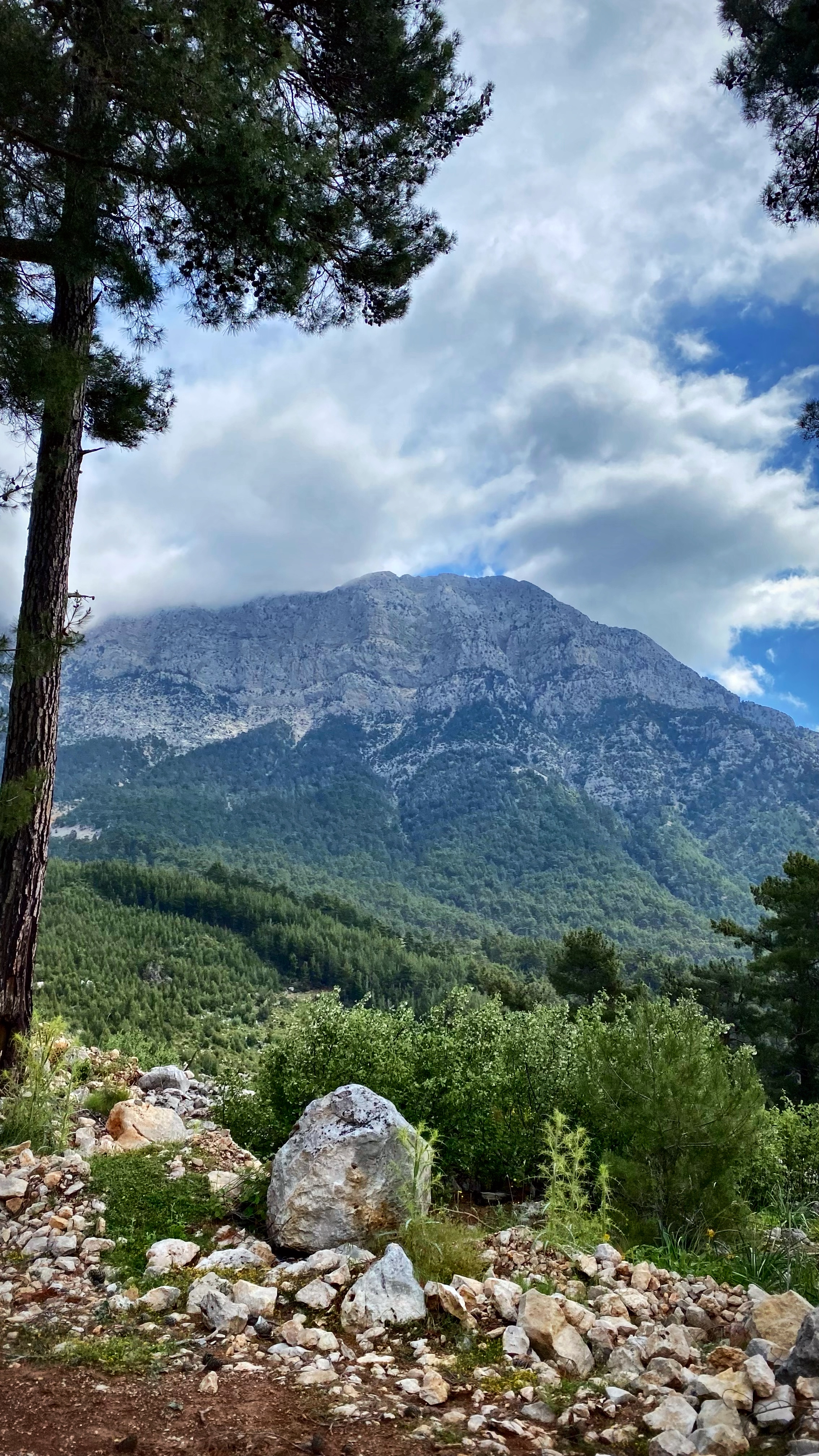 Йога-тур в Турцию. По следам Ликийской тропы, встреча с Лакшми. (27/122)