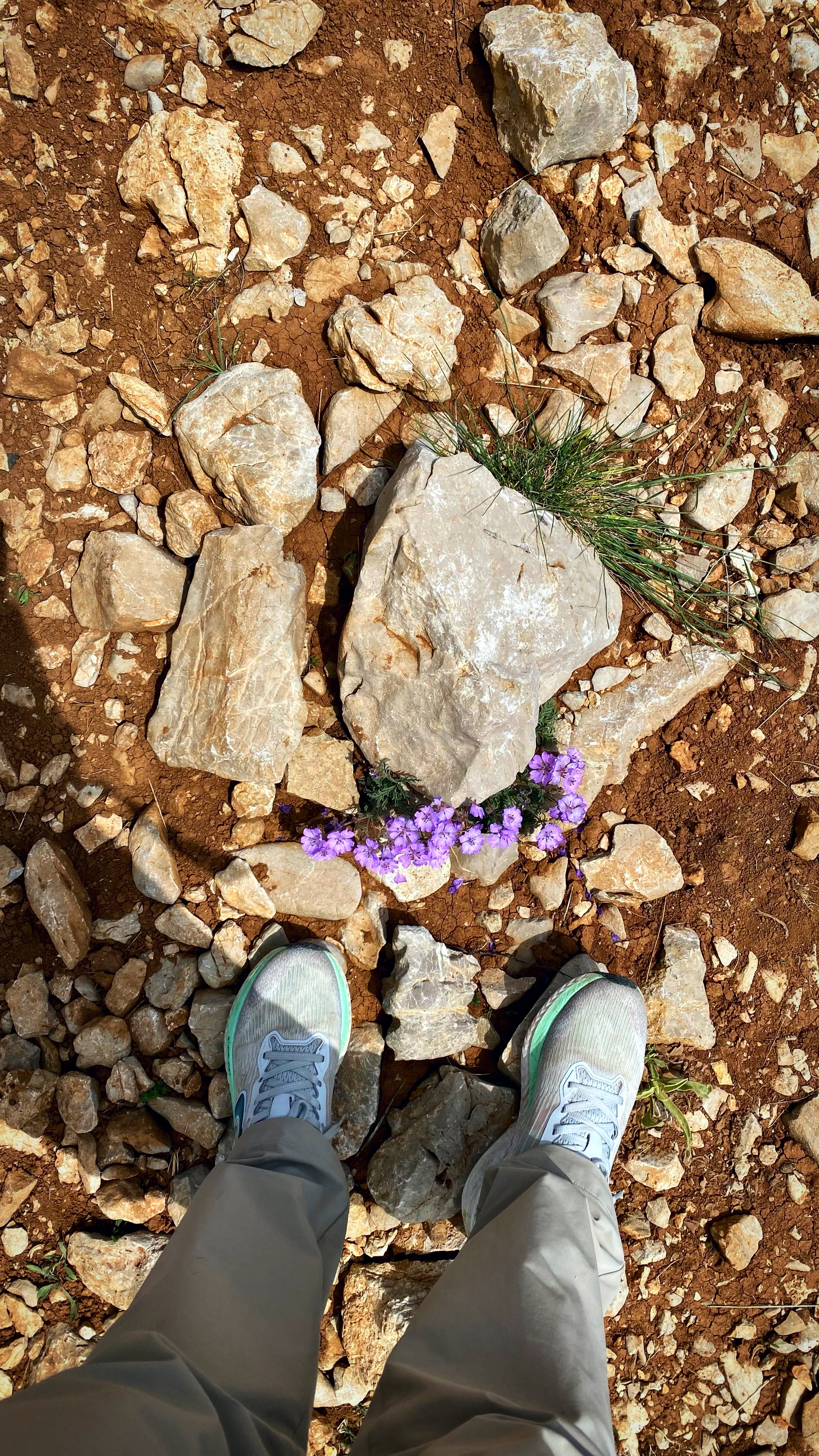 Йога-тур в Турцию. По следам Ликийской тропы, встреча с Лакшми. (2/122)