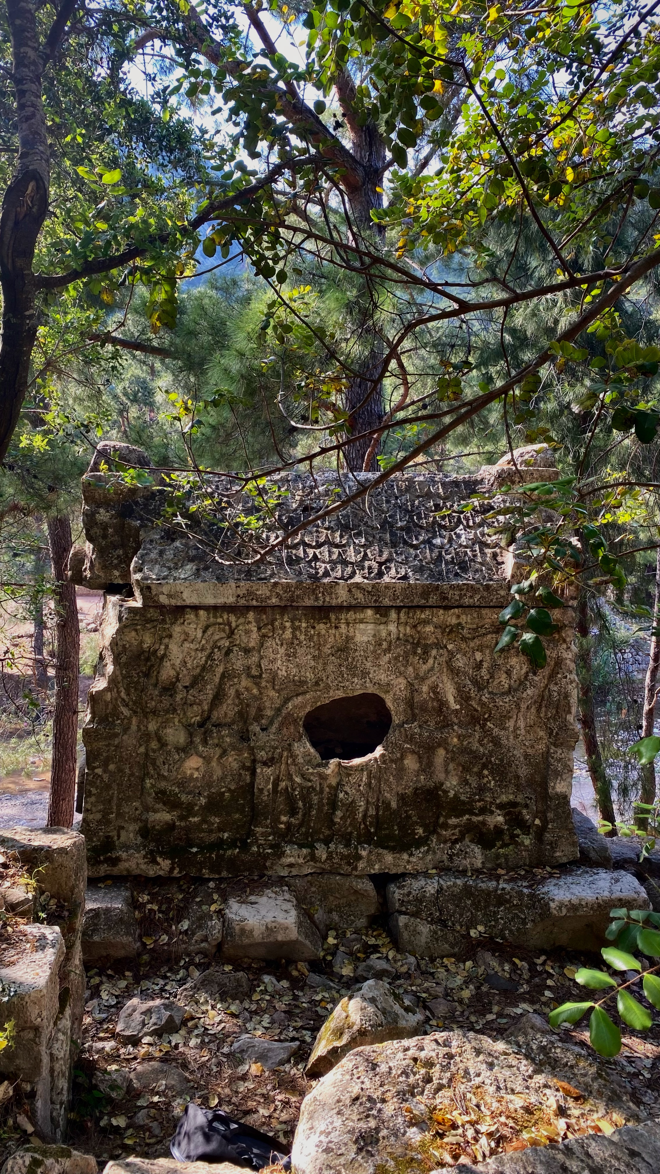 Йога-тур в Турцию. По следам Ликийской тропы, встреча с Лакшми. (45/122)