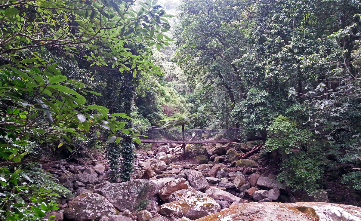 Частный тур Захватывающее путешествие вдоль южного побережья Сиднея (9/19)