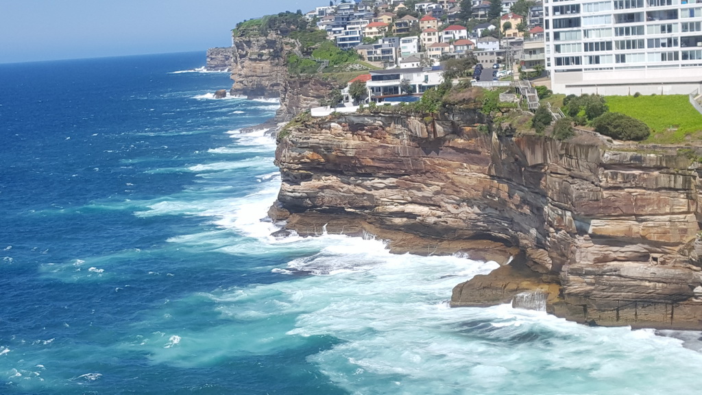 Индивидуальный дневной тур 8 часов по Сиднею (город и восточные пригороды) (6/17)