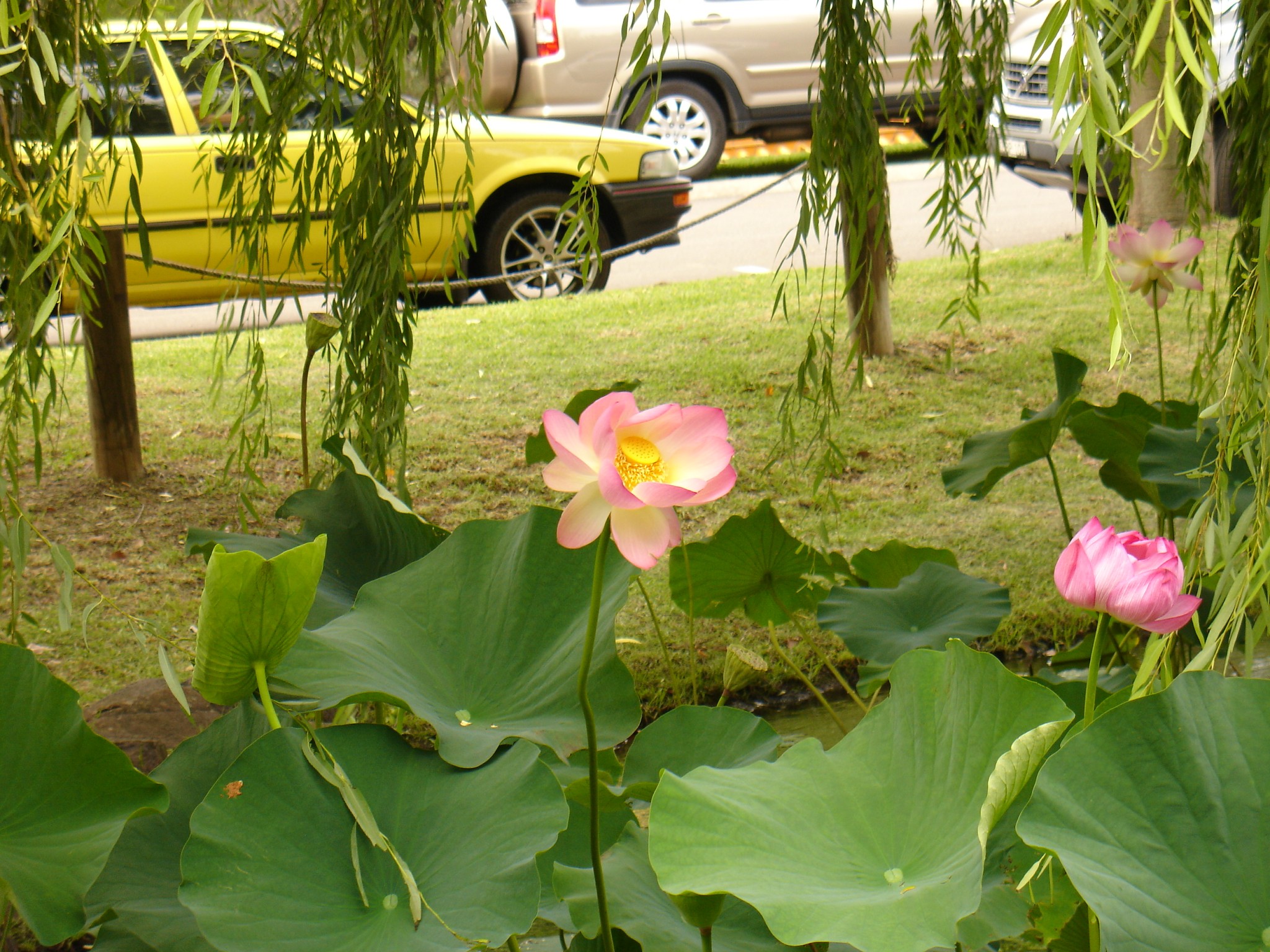 Частный тур Захватывающее путешествие вдоль южного побережья Сиднея (3/19)