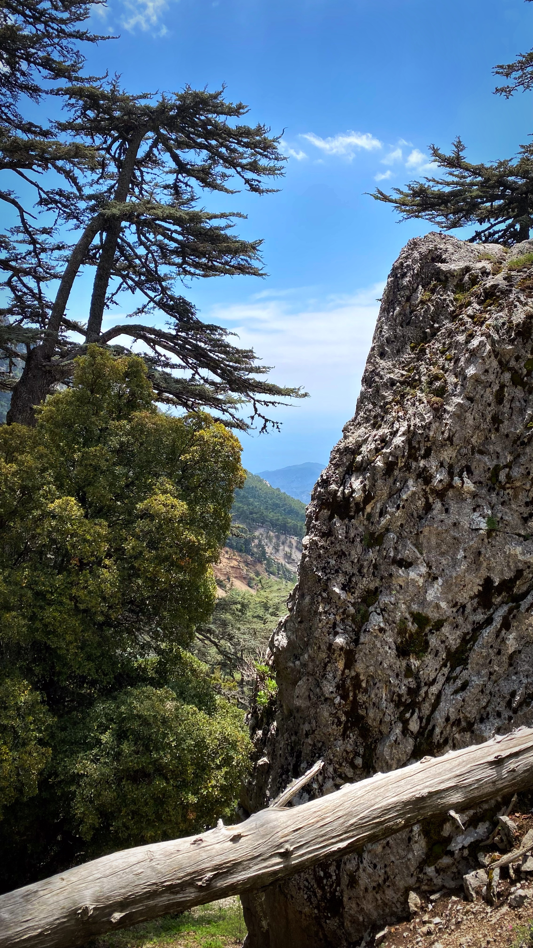 Йога-тур в Турцию. По следам Ликийской тропы, встреча с Лакшми. (14/122)