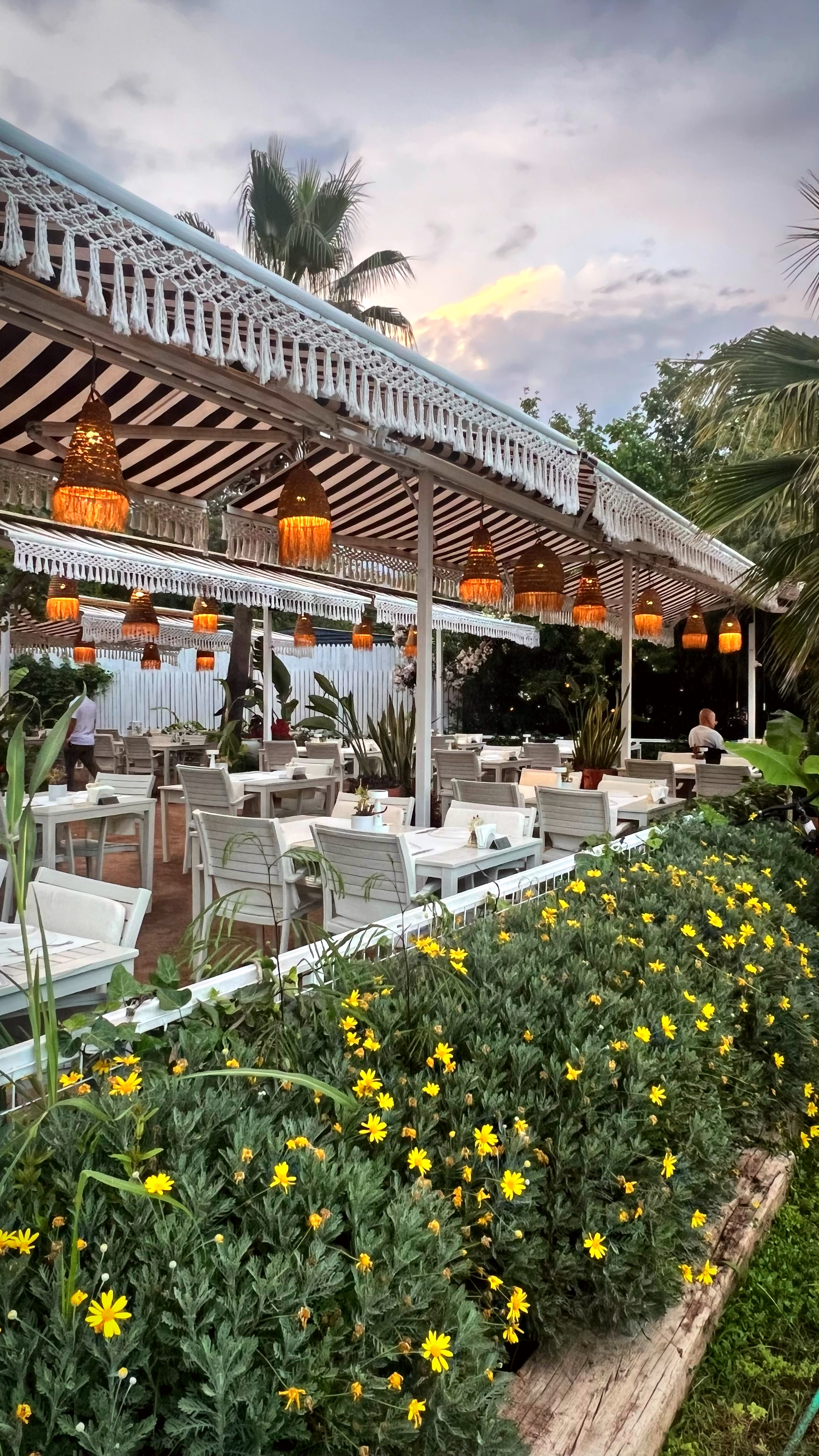 Йога-тур в Турцию. По следам Ликийской тропы, встреча с Лакшми. (37/122)