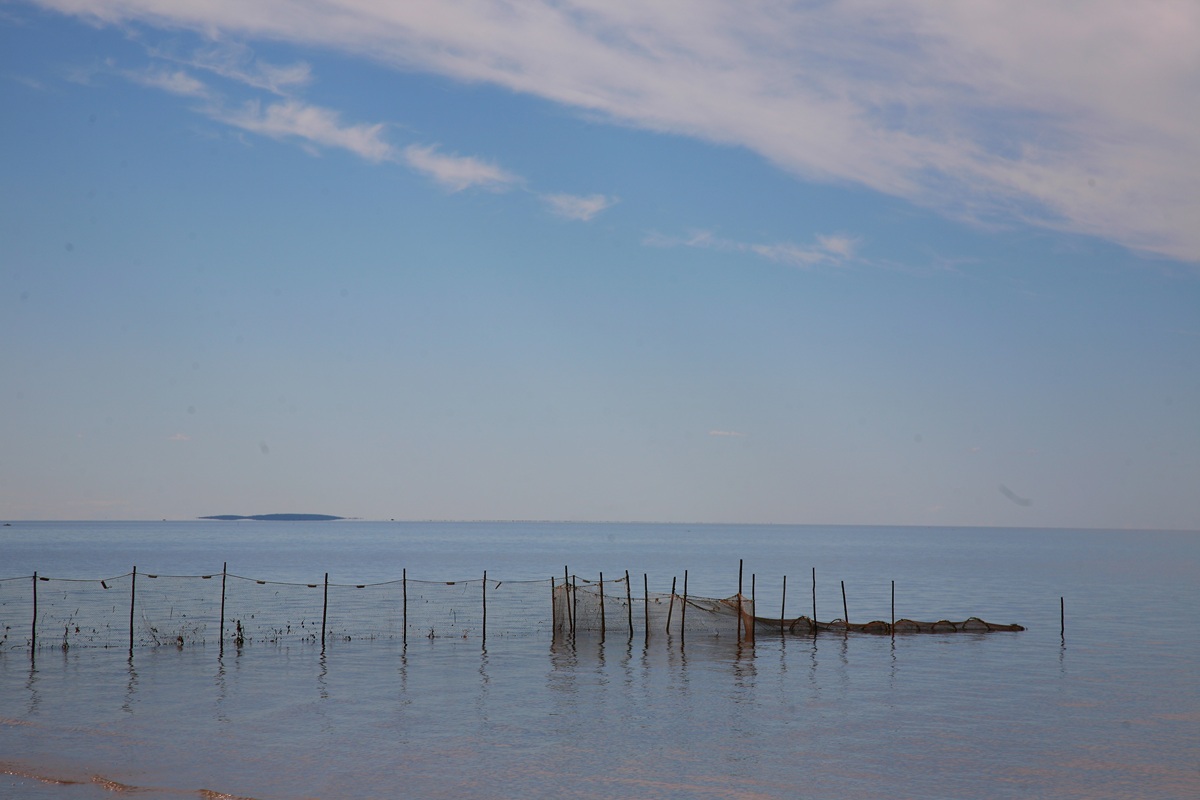 В гостях у поморов: на Южный берег Белого моря 7 дней (9/68)