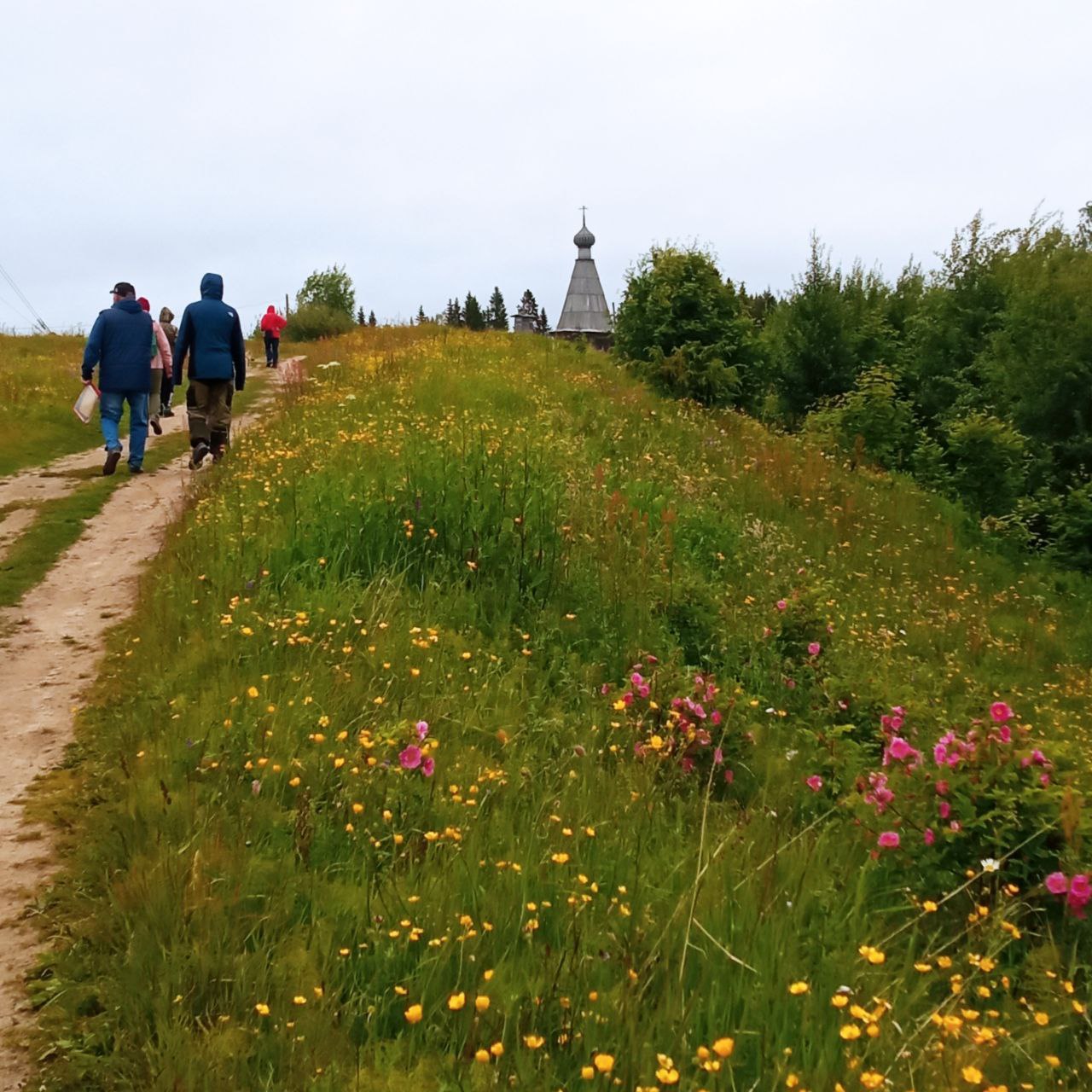 В гостях у поморов: на Южный берег Белого моря 7 дней (17/68)