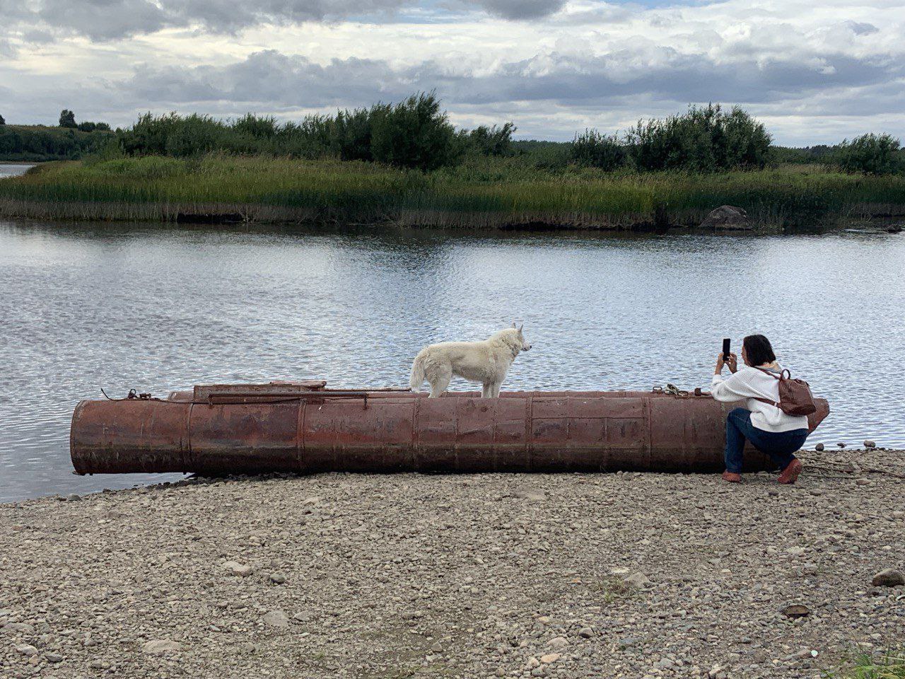 В гостях у поморов: на Южный берег Белого моря 7 дней (39/68)