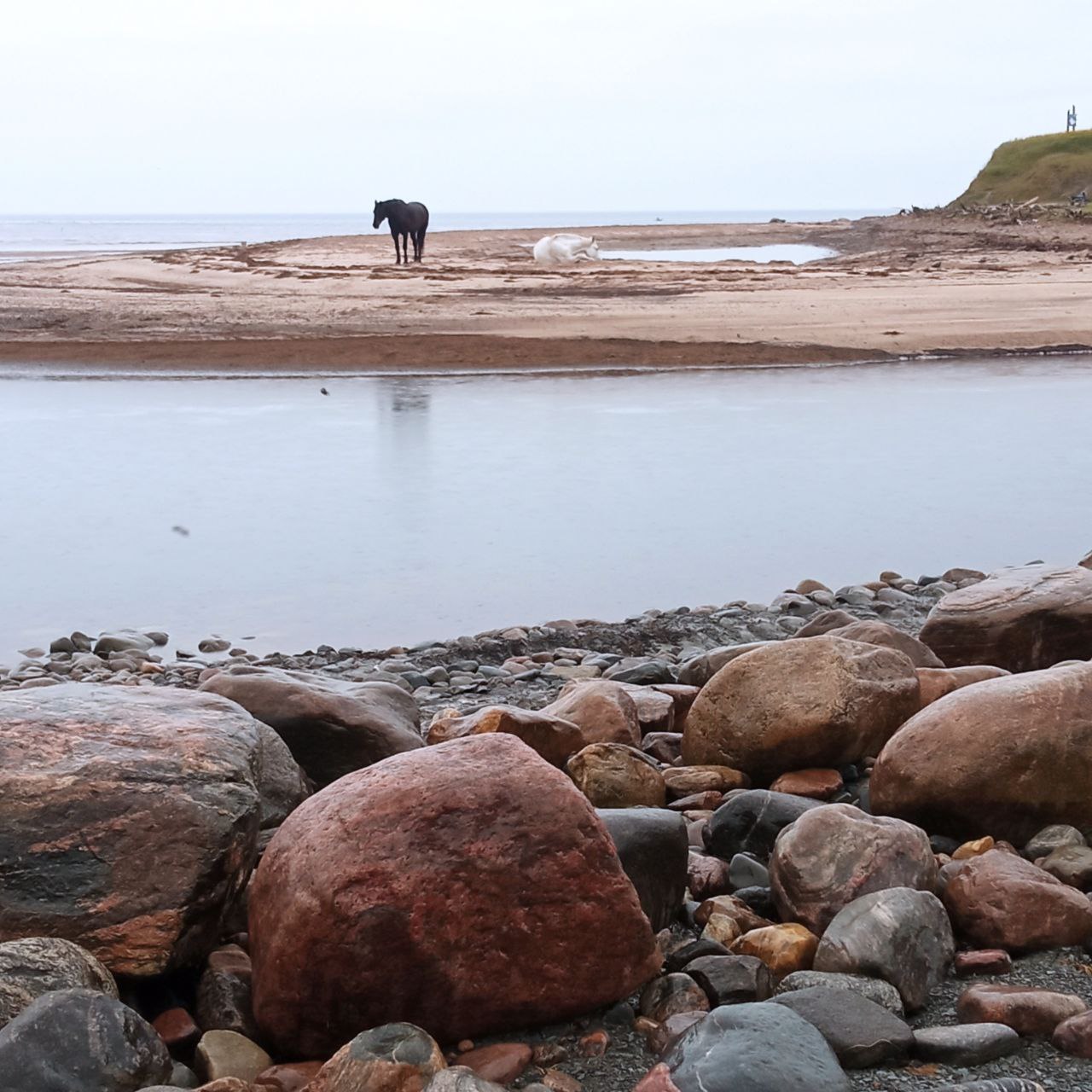 В гостях у поморов: на Южный берег Белого моря 7 дней (23/68)