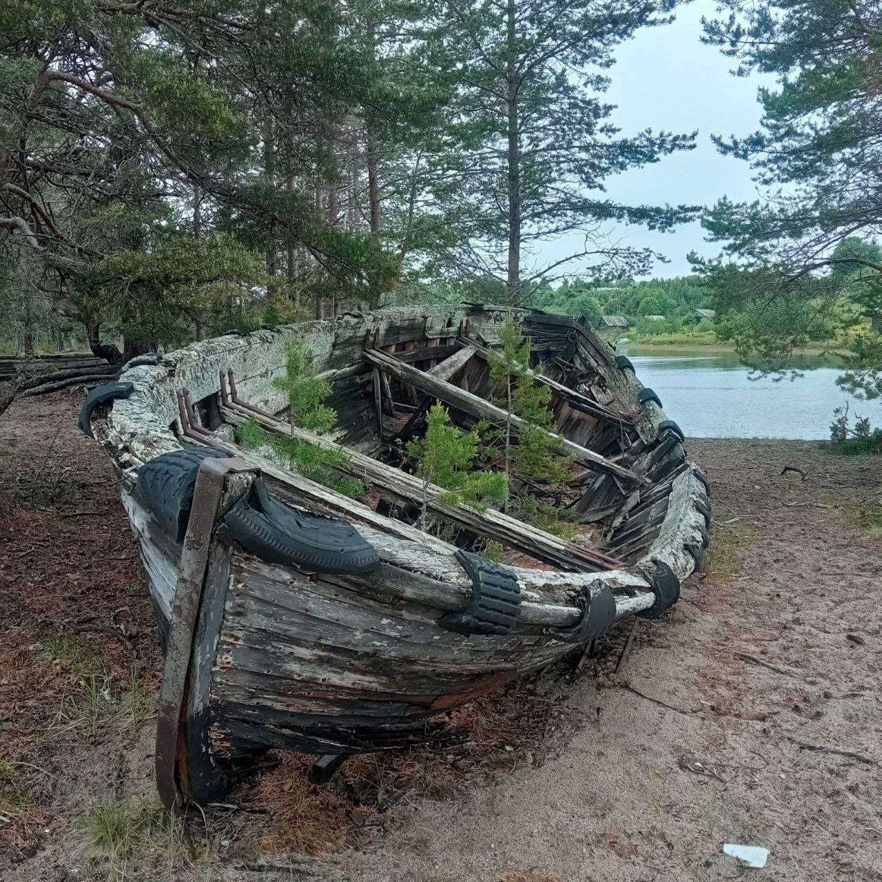 В гостях у поморов: на Южный берег Белого моря 7 дней (16/68)