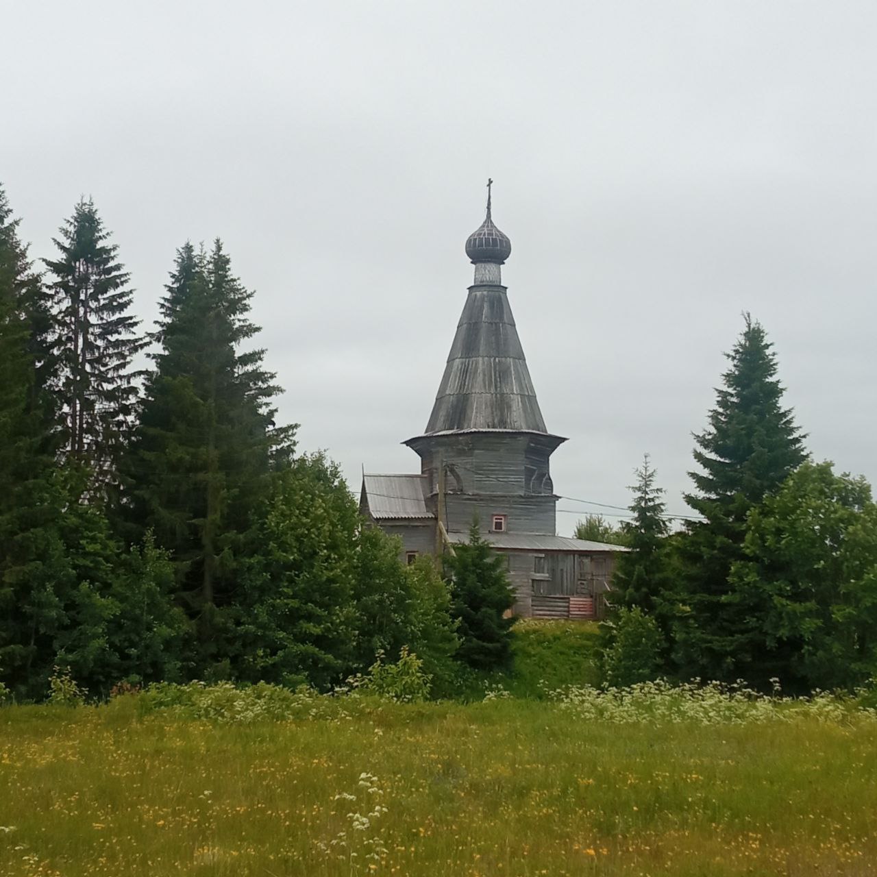 В гостях у поморов: на Южный берег Белого моря 7 дней (21/68)