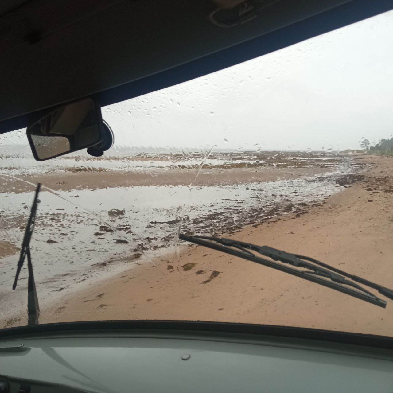 В гостях у поморов: на Южный берег Белого моря 7 дней (29/68)