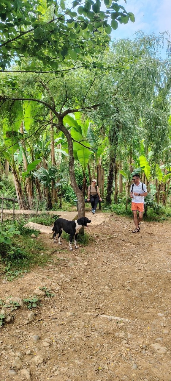 Активный тур в Батуми (Грузия)