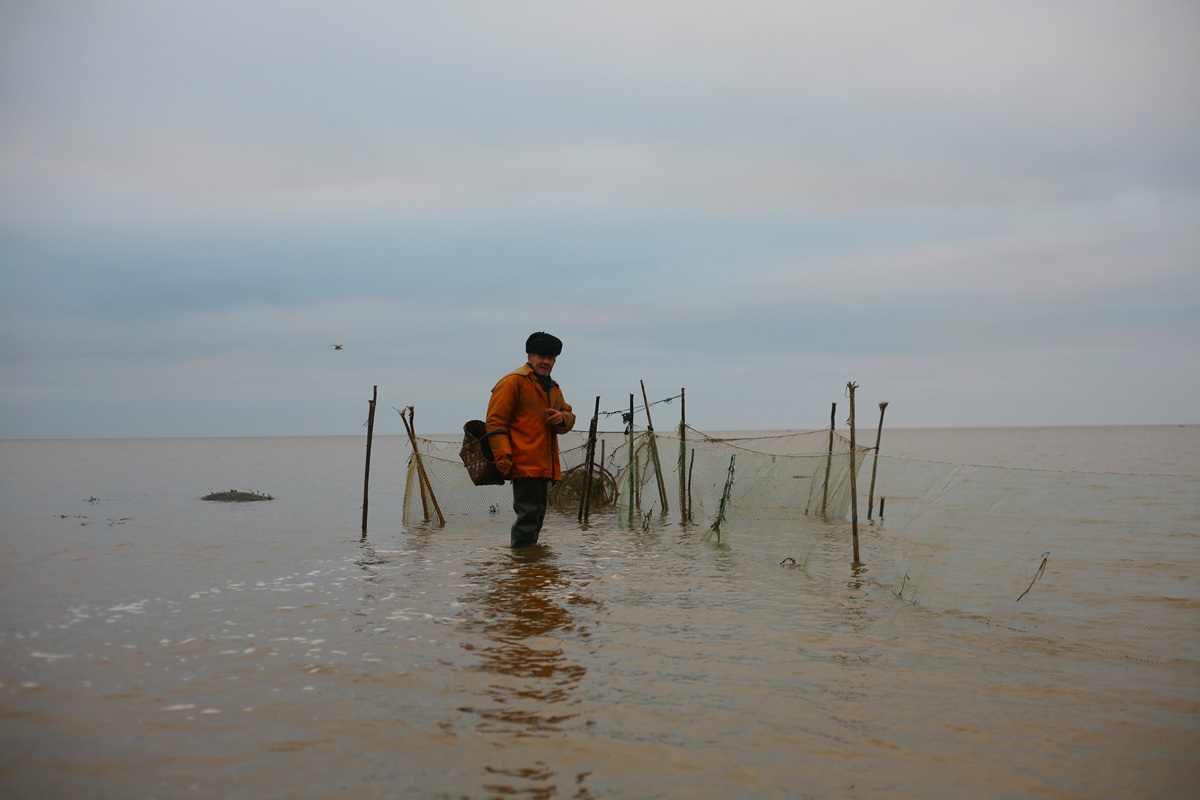 В гостях у поморов: на Южный берег Белого моря 7 дней (14/68)