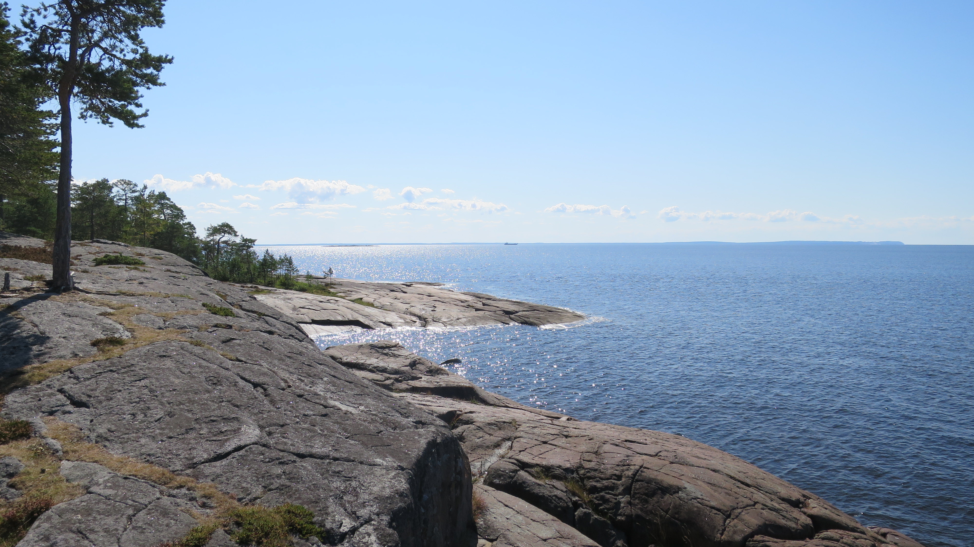 В гостях у поморов: на Южный берег Белого моря 7 дней (54/68)