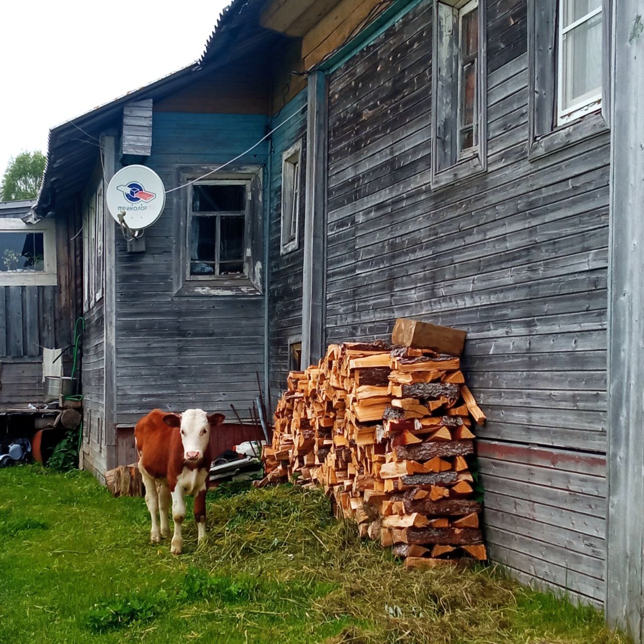 В гостях у поморов: на Южный берег Белого моря 7 дней (20/68)