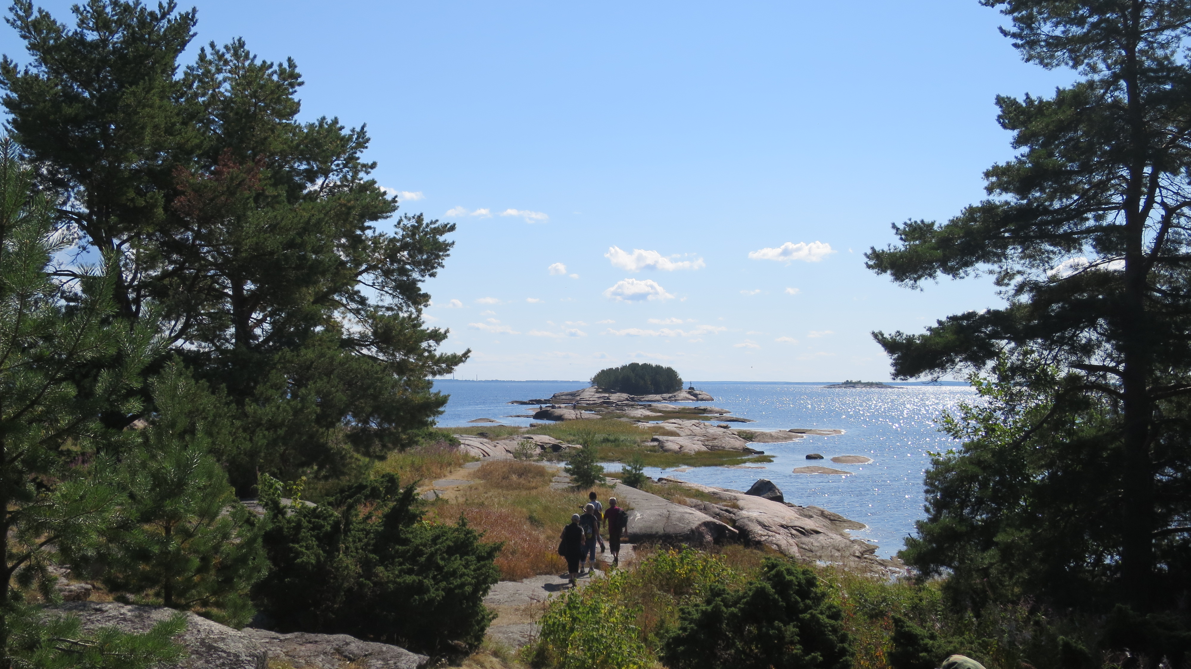 В гостях у поморов: на Южный берег Белого моря 7 дней (55/68)