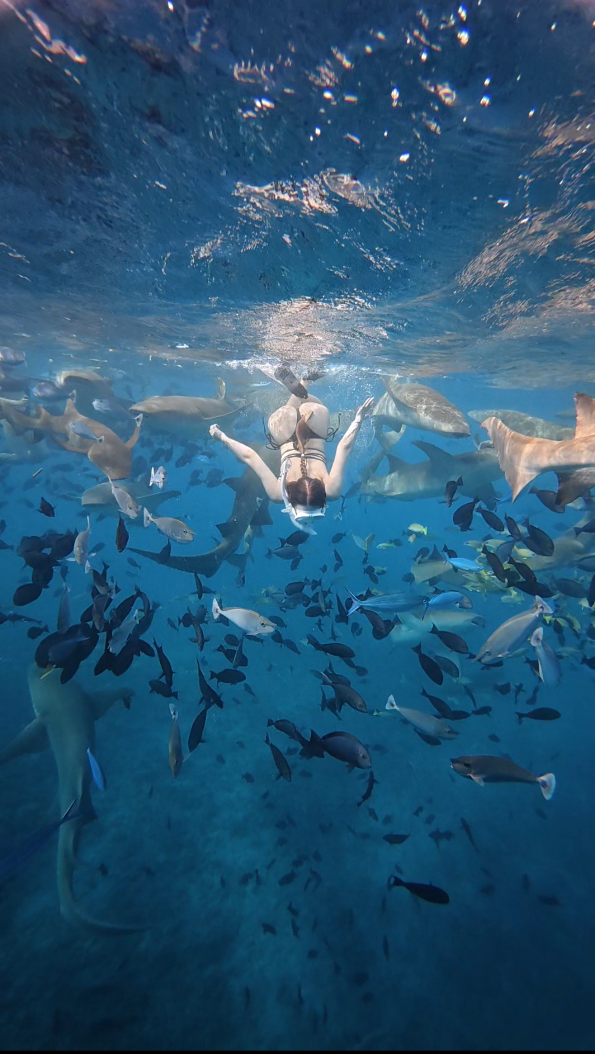 Туры На Мальдивы. Все Включено в Новом отеле (24/53)