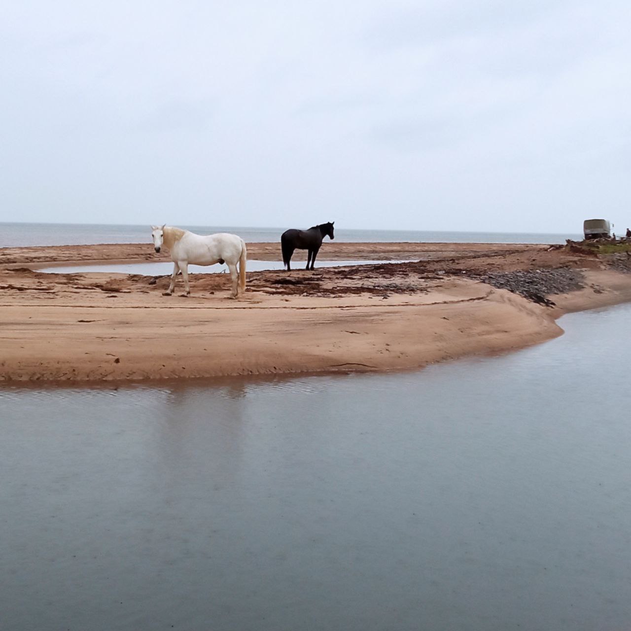 В гостях у поморов: на Южный берег Белого моря 7 дней (22/68)