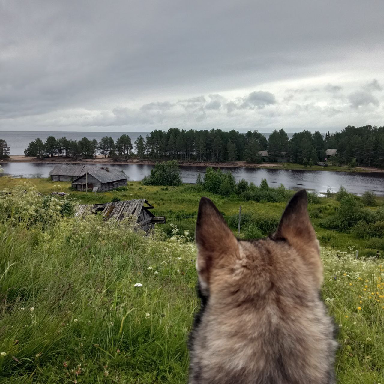 В гостях у поморов: на Южный берег Белого моря 7 дней (26/68)