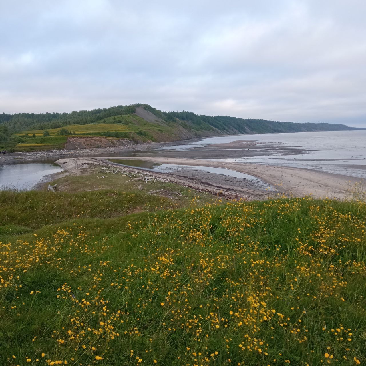 В гостях у поморов: на Южный берег Белого моря 7 дней (19/68)