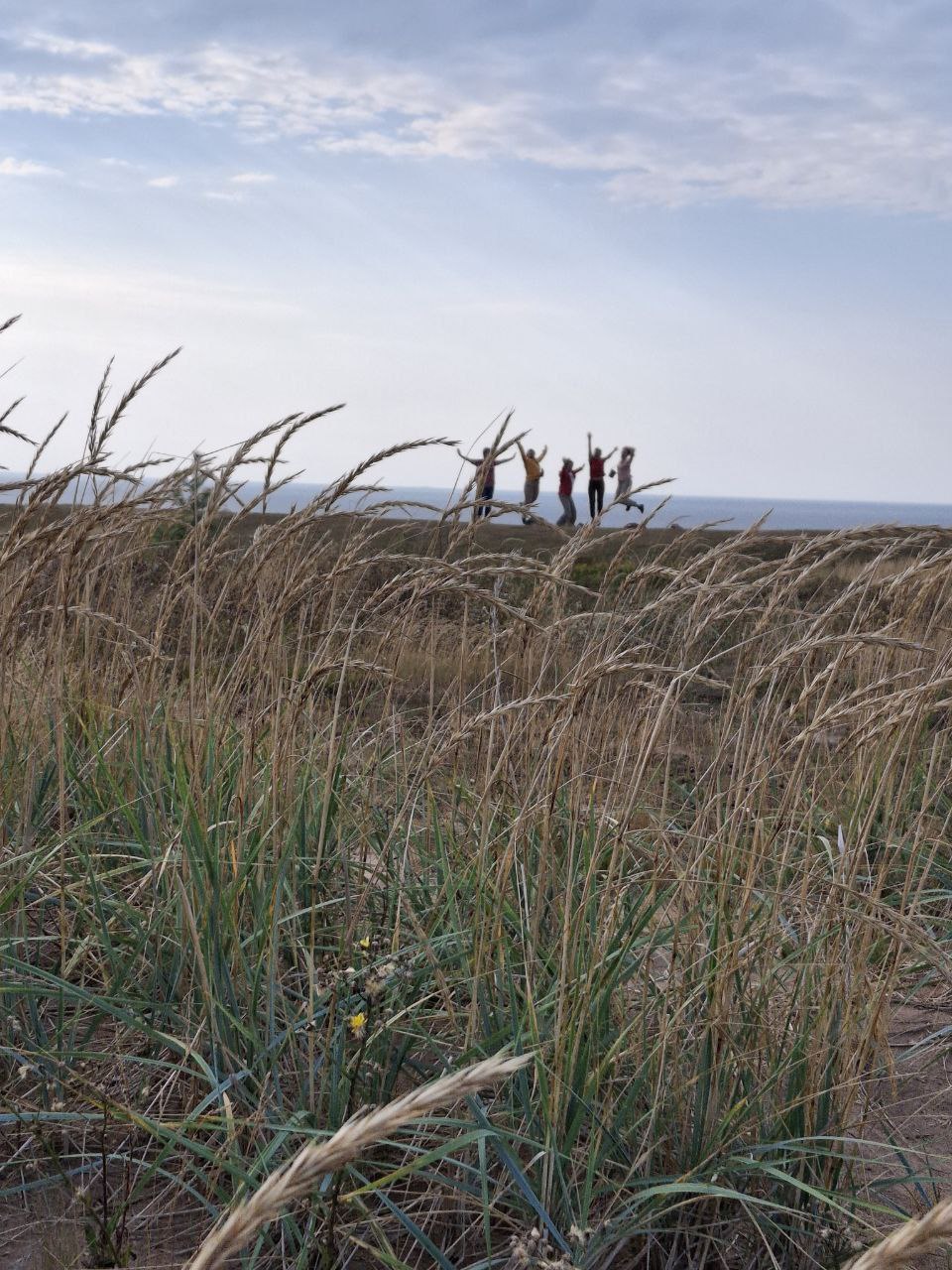 В гостях у поморов: на Южный берег Белого моря 7 дней (36/68)