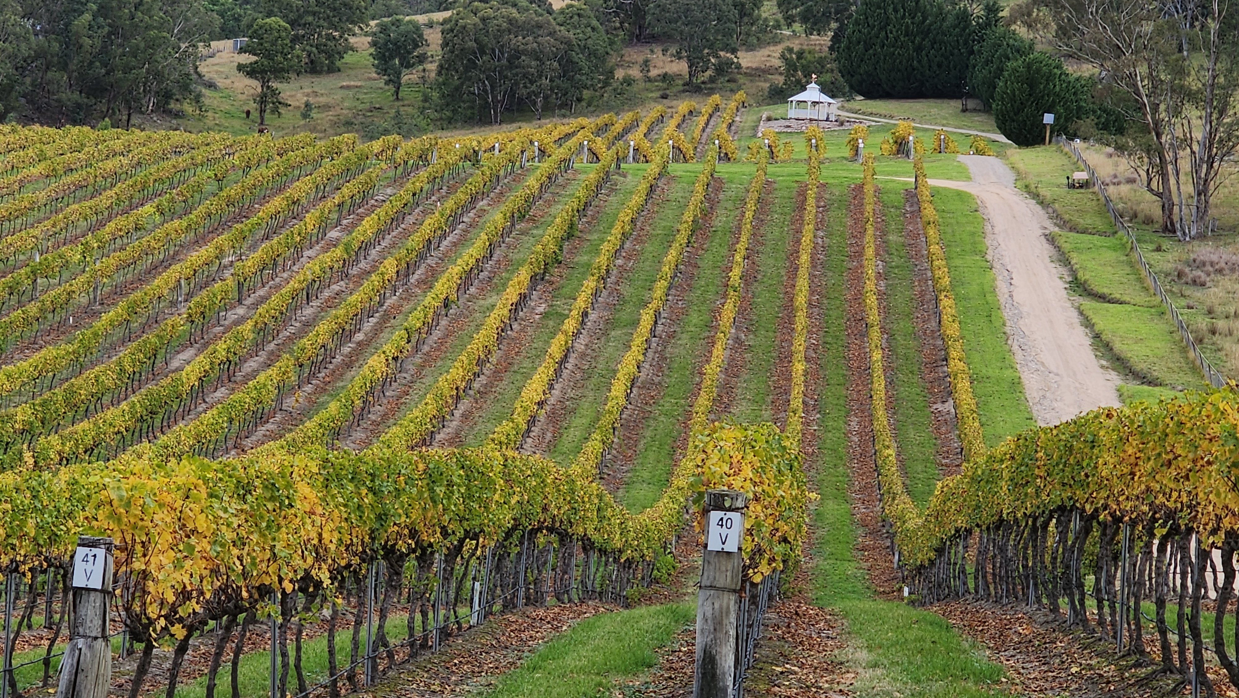 Частный люкс-тур с дегустацией вин в Hunter Valley