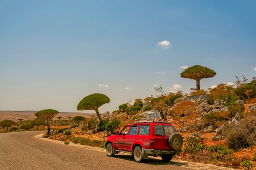 Нац парк Дихамри