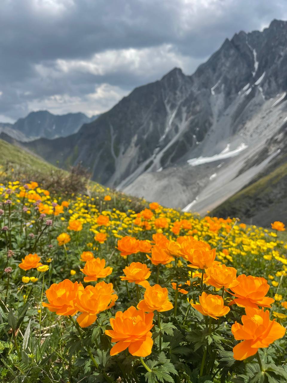 Шумак  сердце Восточных Саян (34/41)