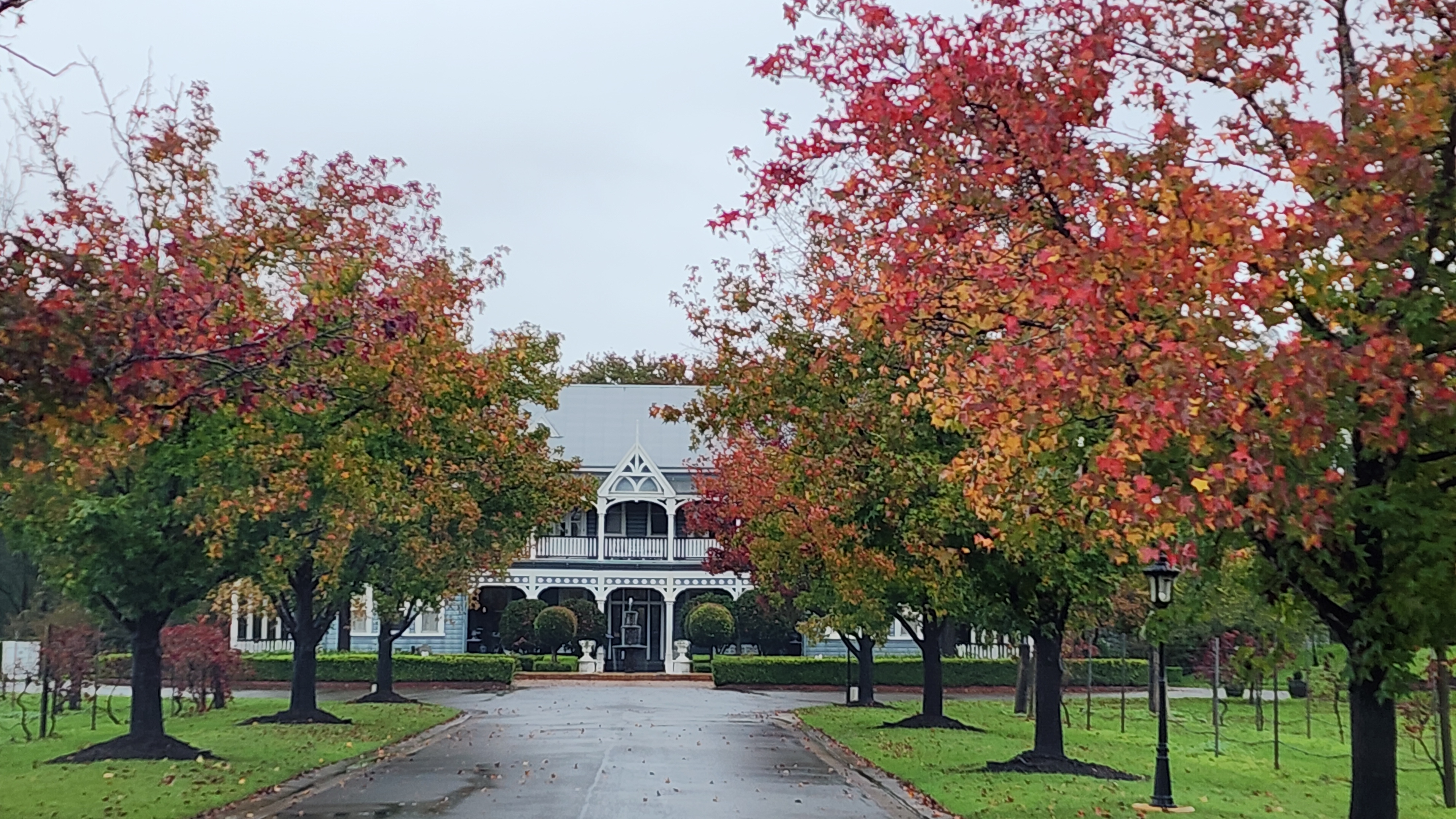 Частный люкс-тур с дегустацией вин в Hunter Valley (13/14)