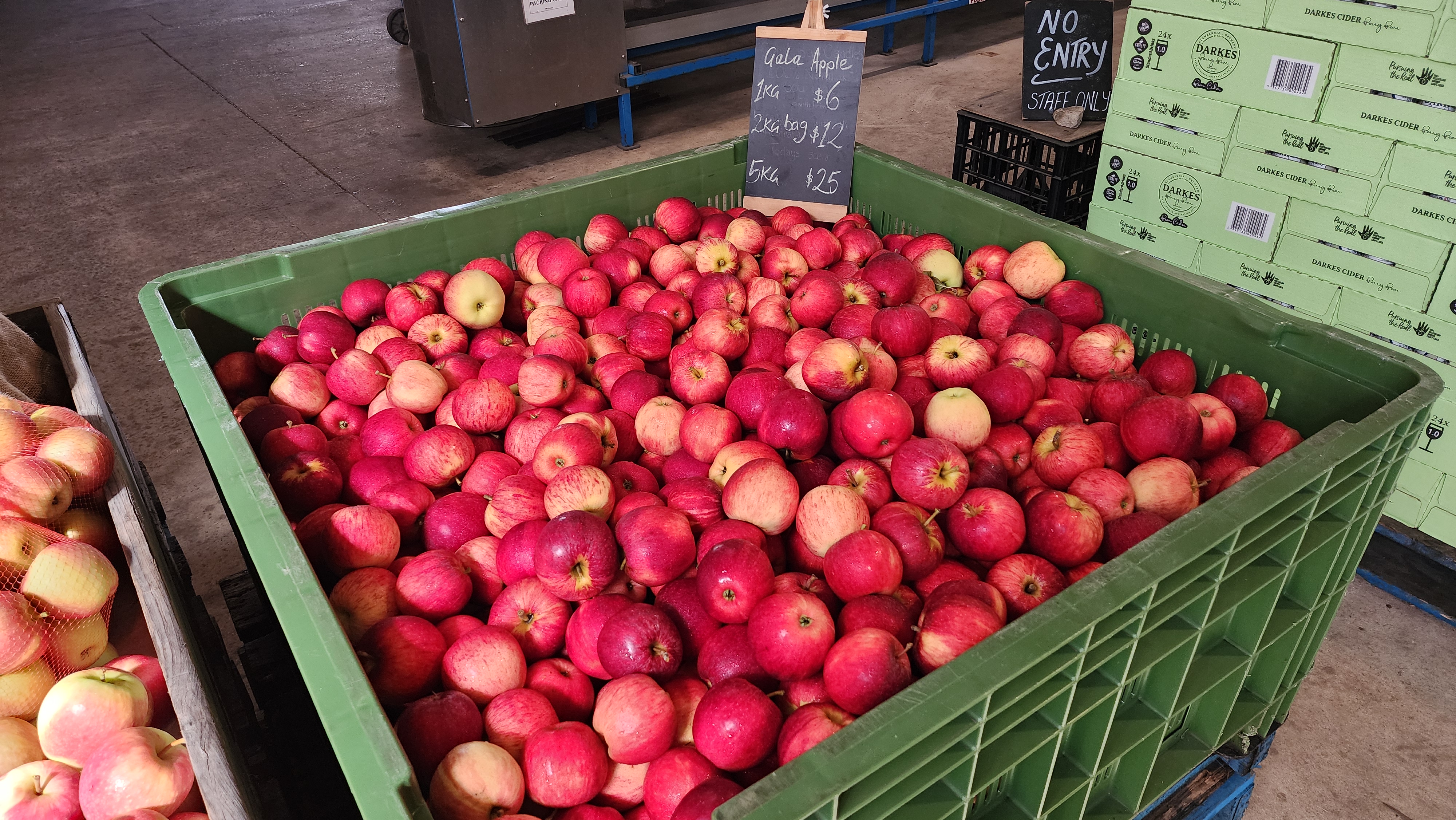 Частный тур Захватывающее путешествие вдоль южного побережья Сиднея (16/19)