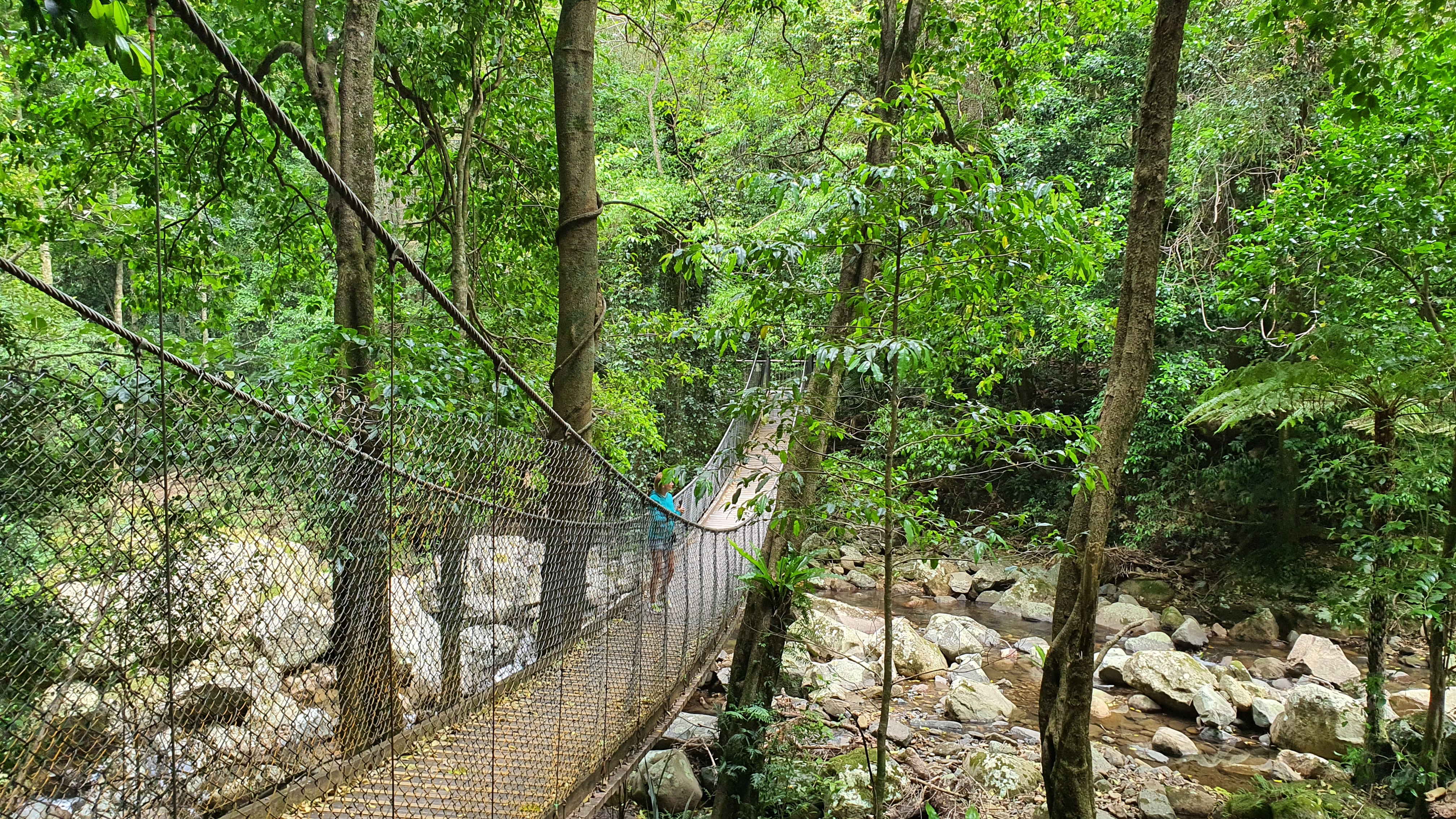 Частный тур Захватывающее путешествие вдоль южного побережья Сиднея (14/19)