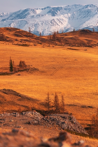 Возвращение в Горно-Алтайск