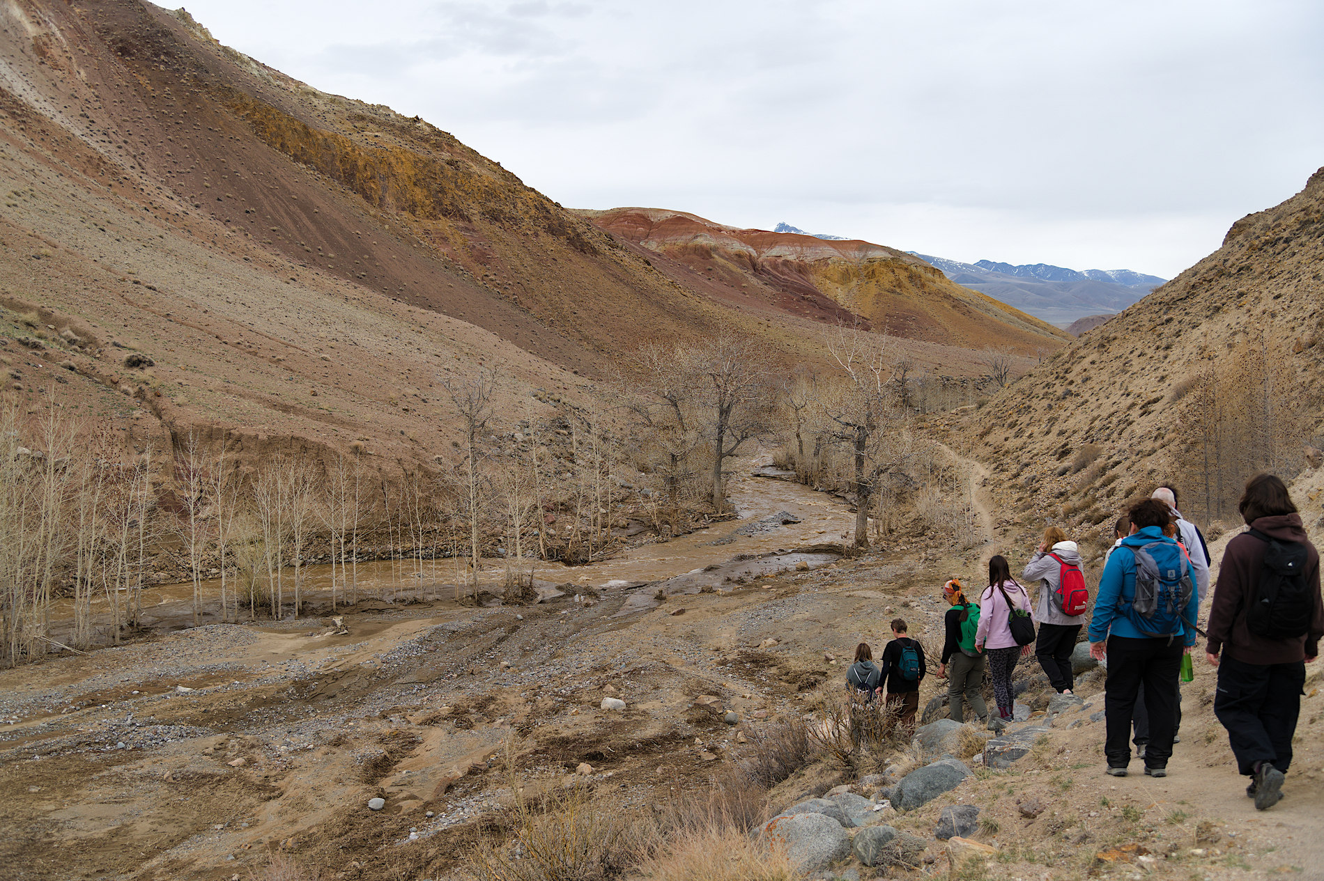 Тур по цветущему Алтаю с трекингами налегке (14/39)