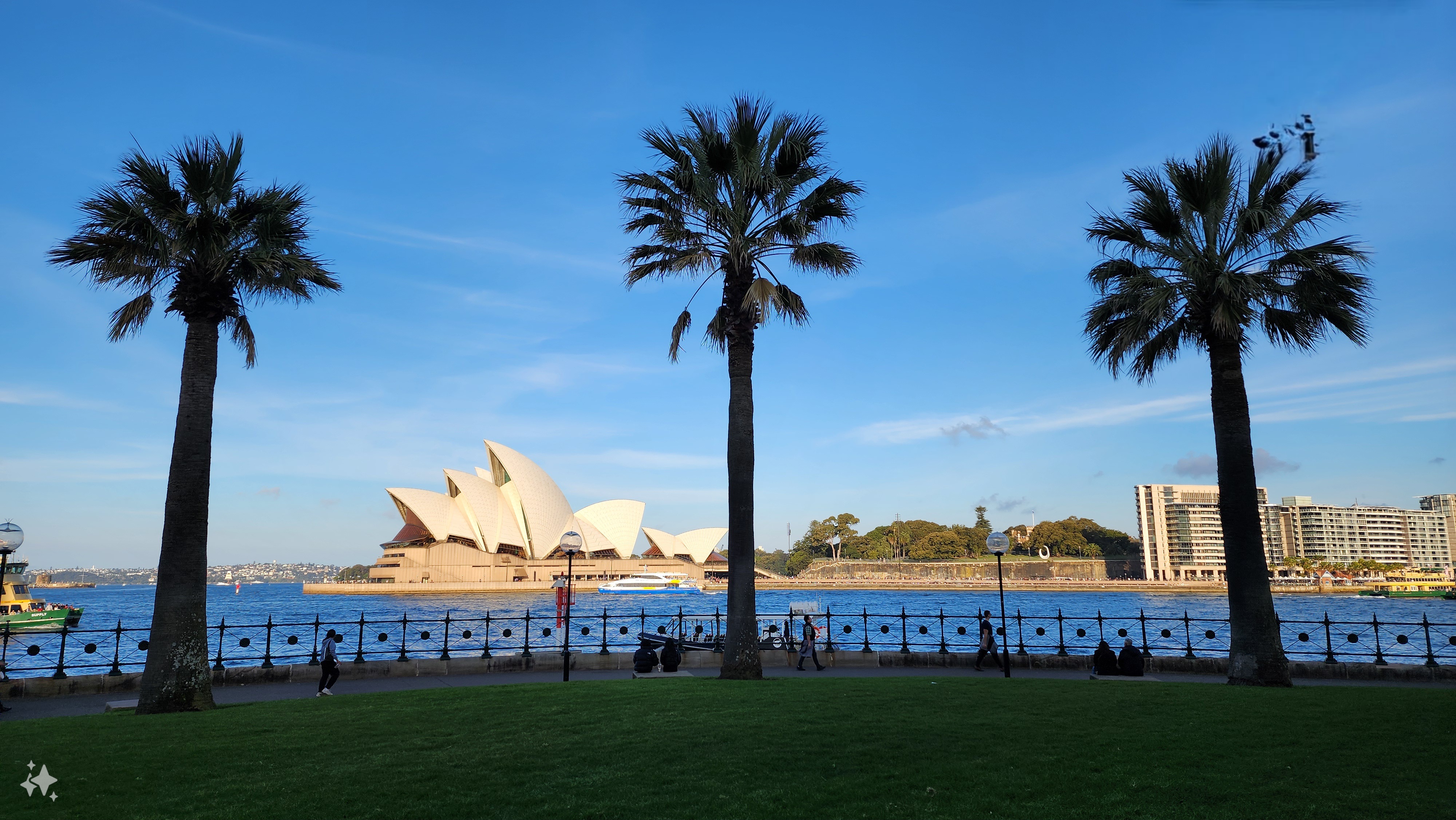 Индивидуальный дневной тур 8 часов по Сиднею (город и восточные пригороды) (13/17)
